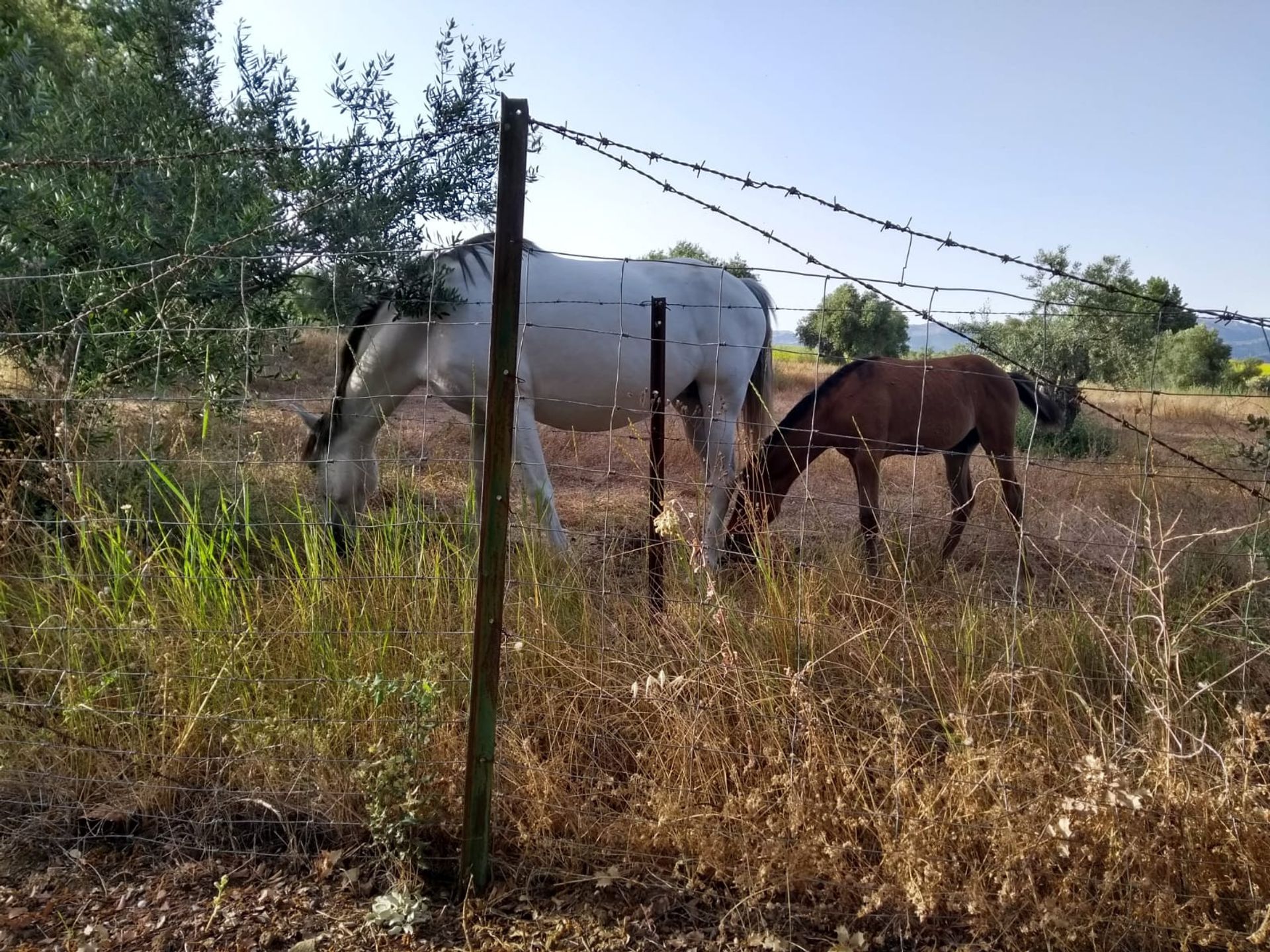 Hus i Ronda, Andalusien 10747666