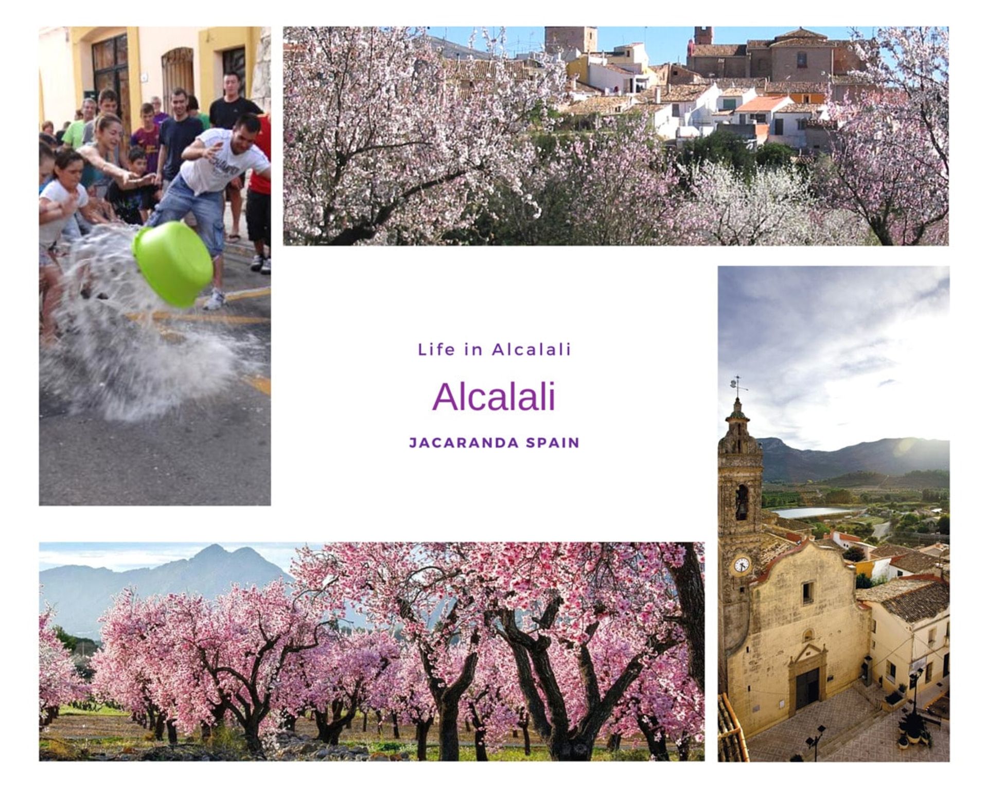 בַּיִת ב Alcalalí, Comunidad Valenciana 10747667