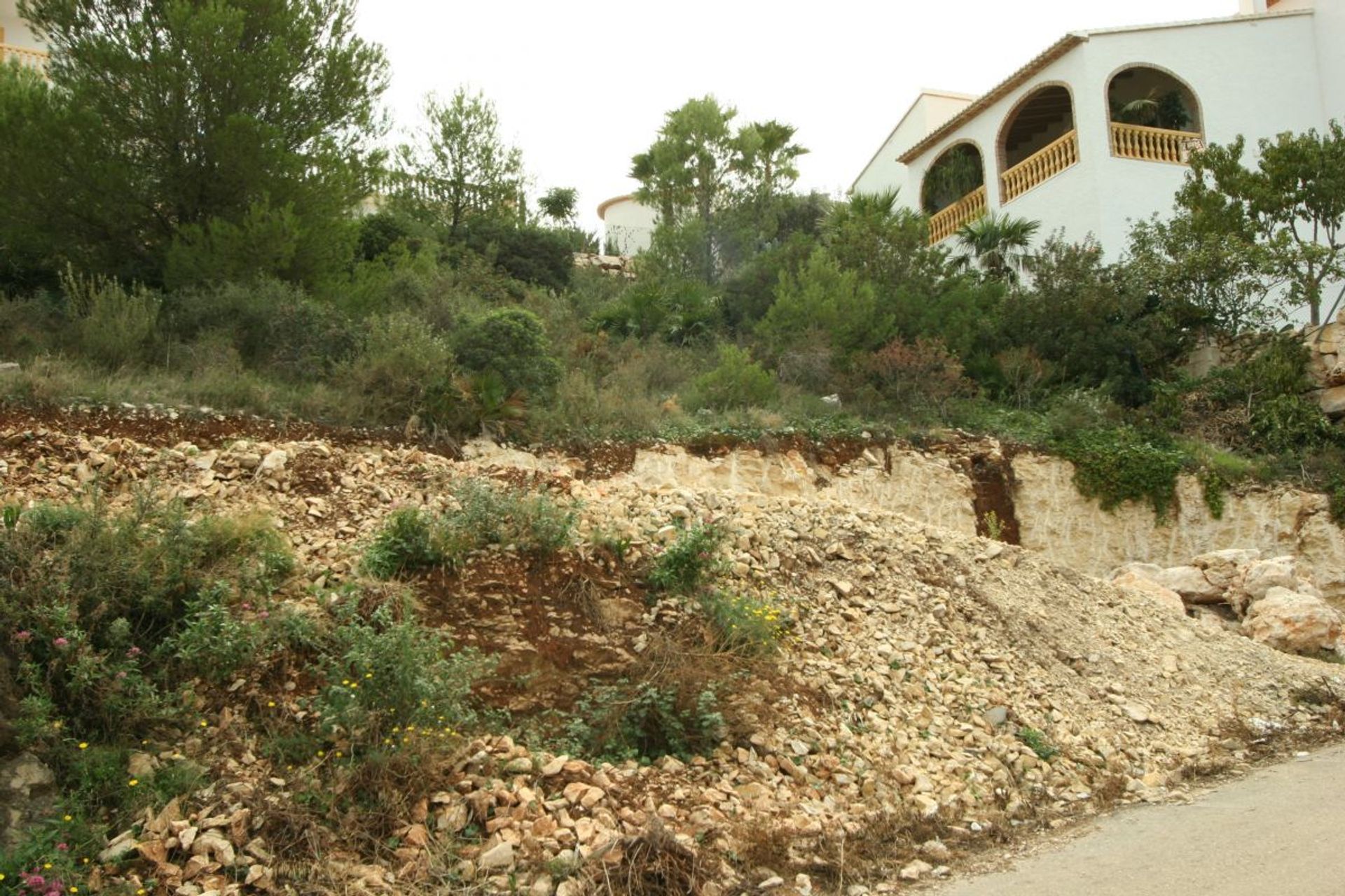 ארץ ב פדרגר, ולנסיה 10747804