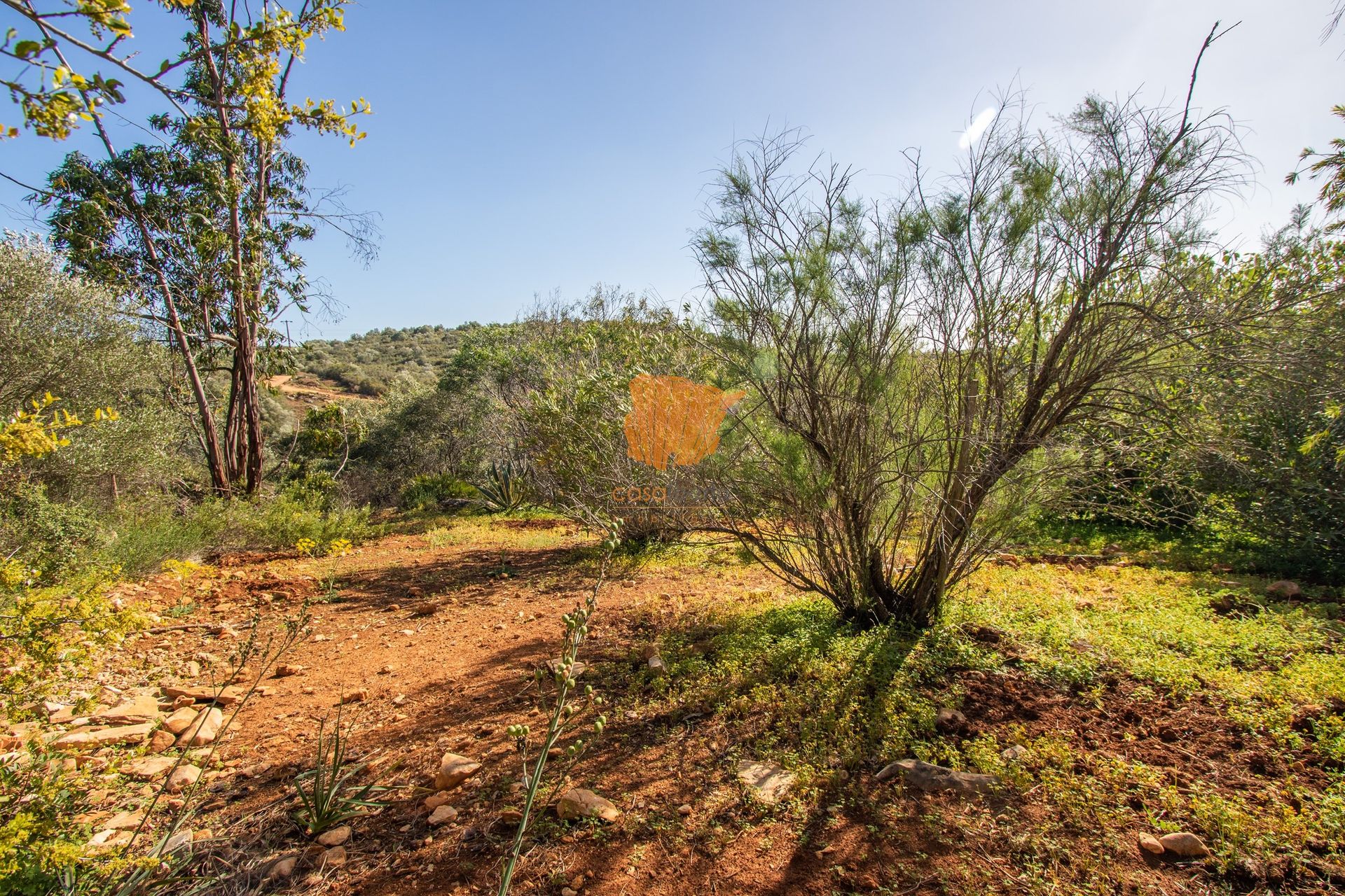 בַּיִת ב , Faro District 10747940