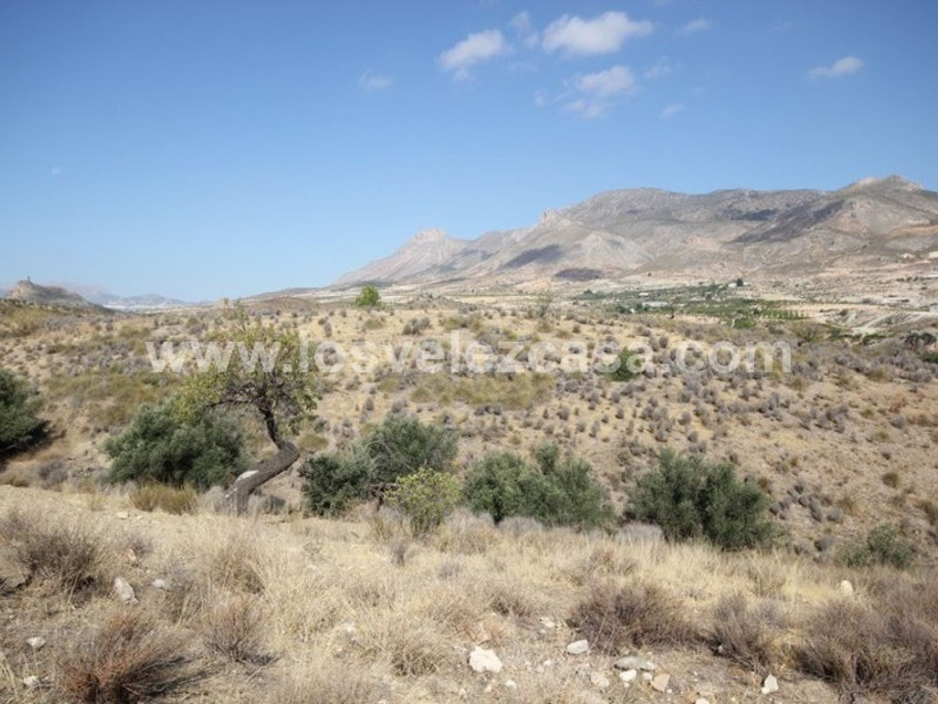 Haus im Murcia, Región de Murcia 10747953