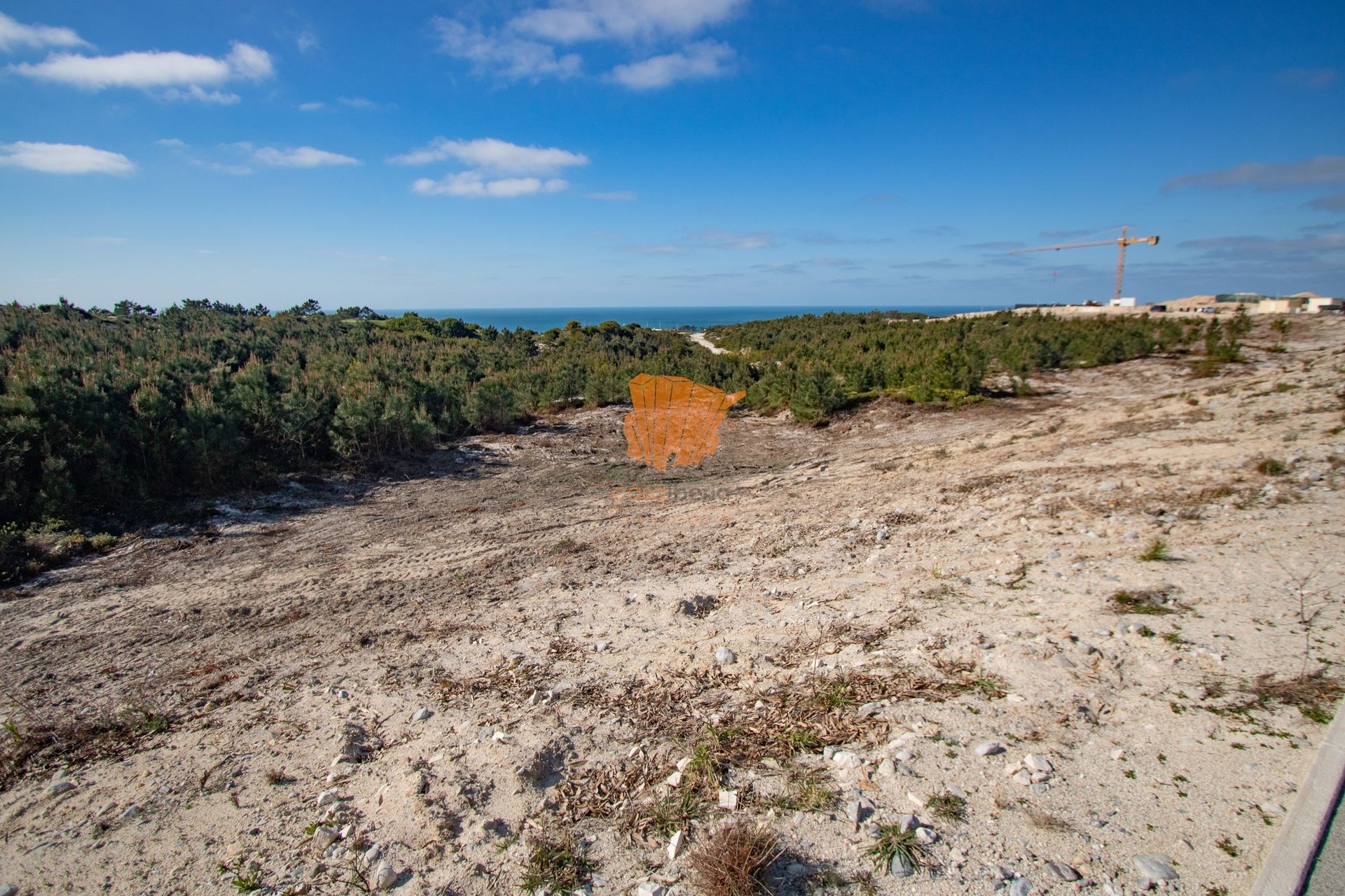 Terra no Casais do Rio, Leiria 10747985