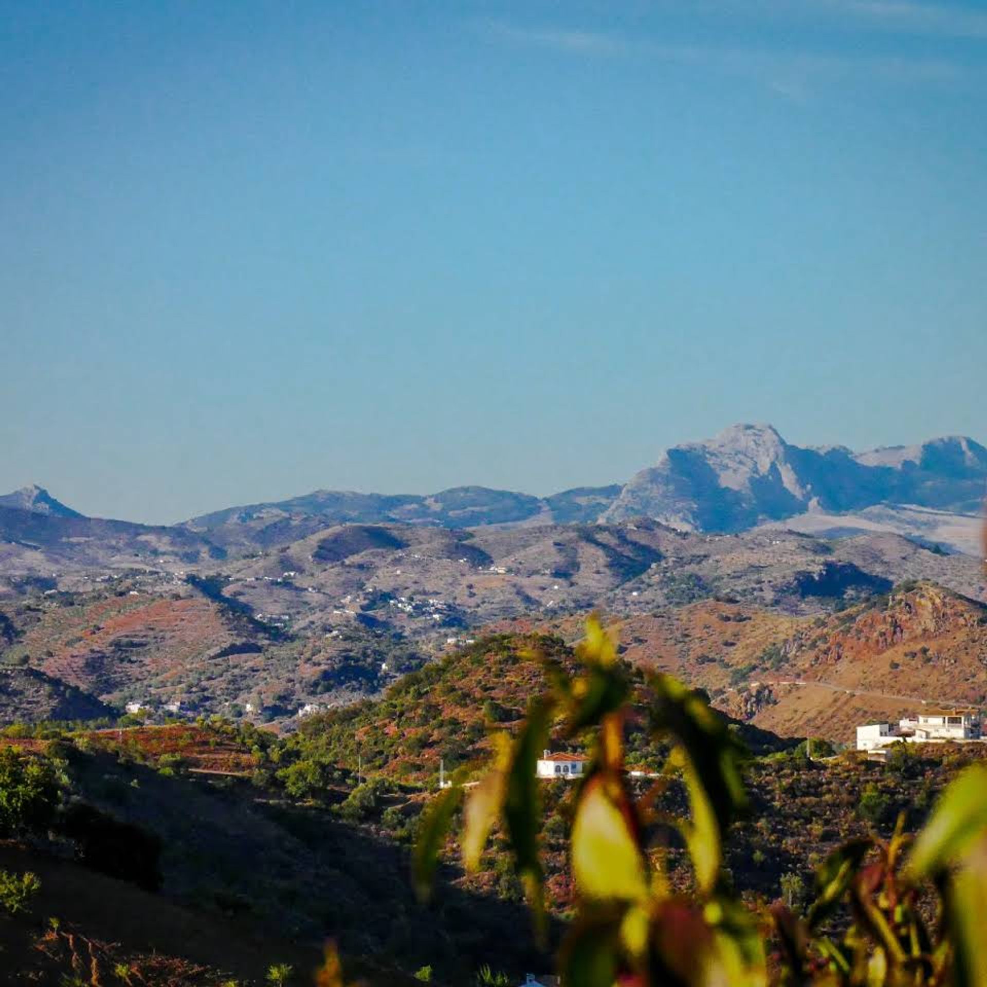 산업 에 Almogía, Andalucía 10748058