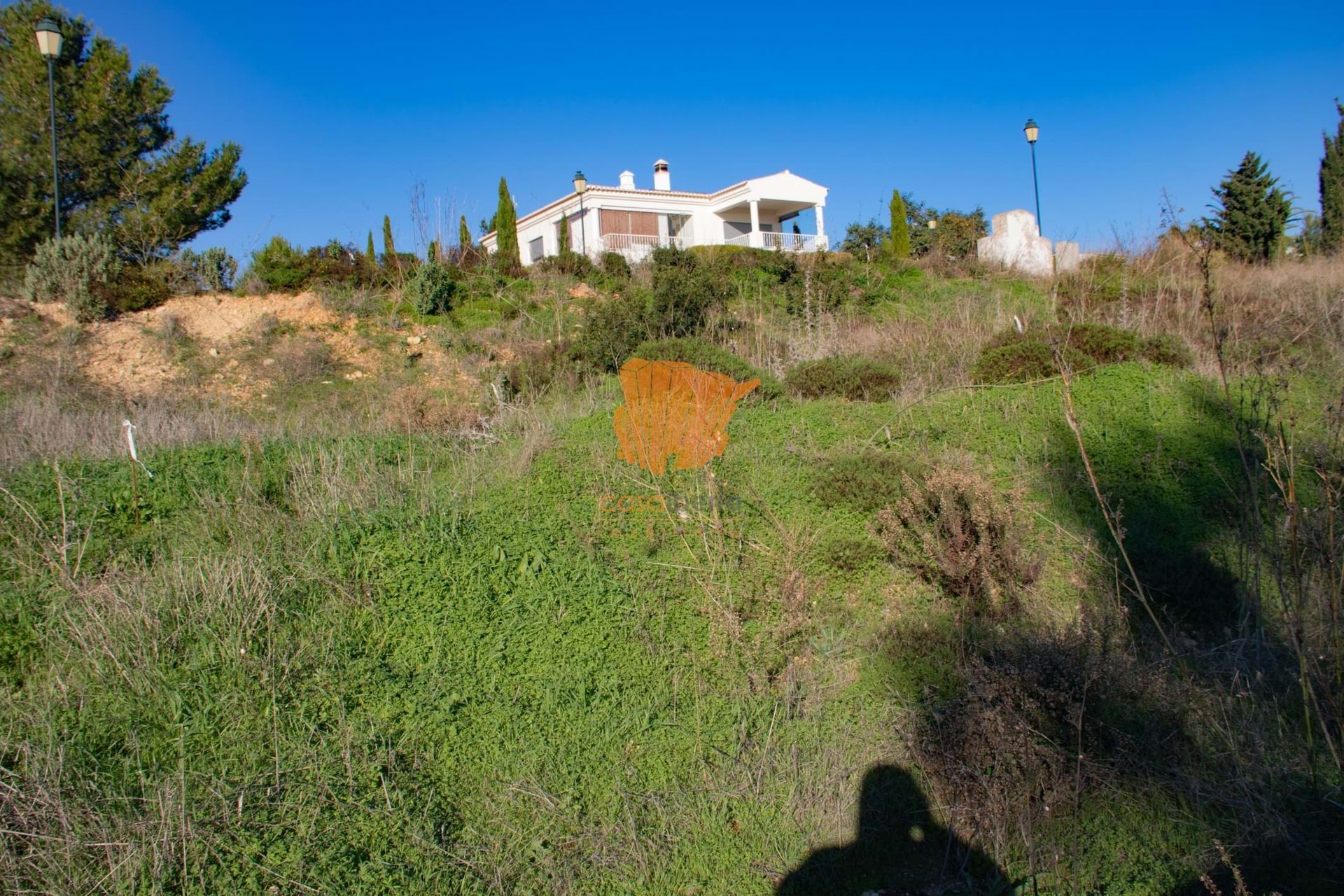 ארץ ב , Faro District 10748146