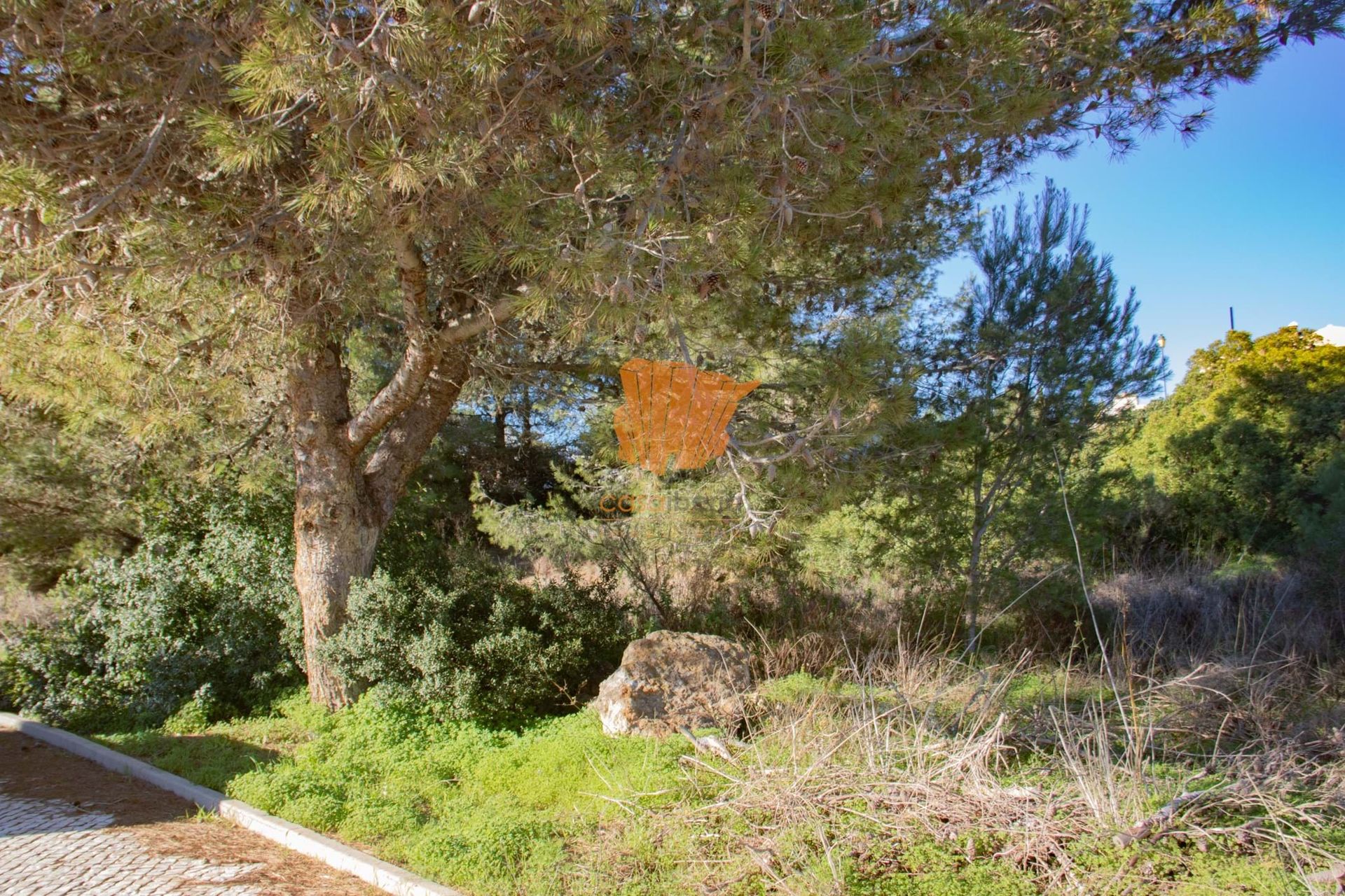 Land in Vila do Bispo, Faro 10748146