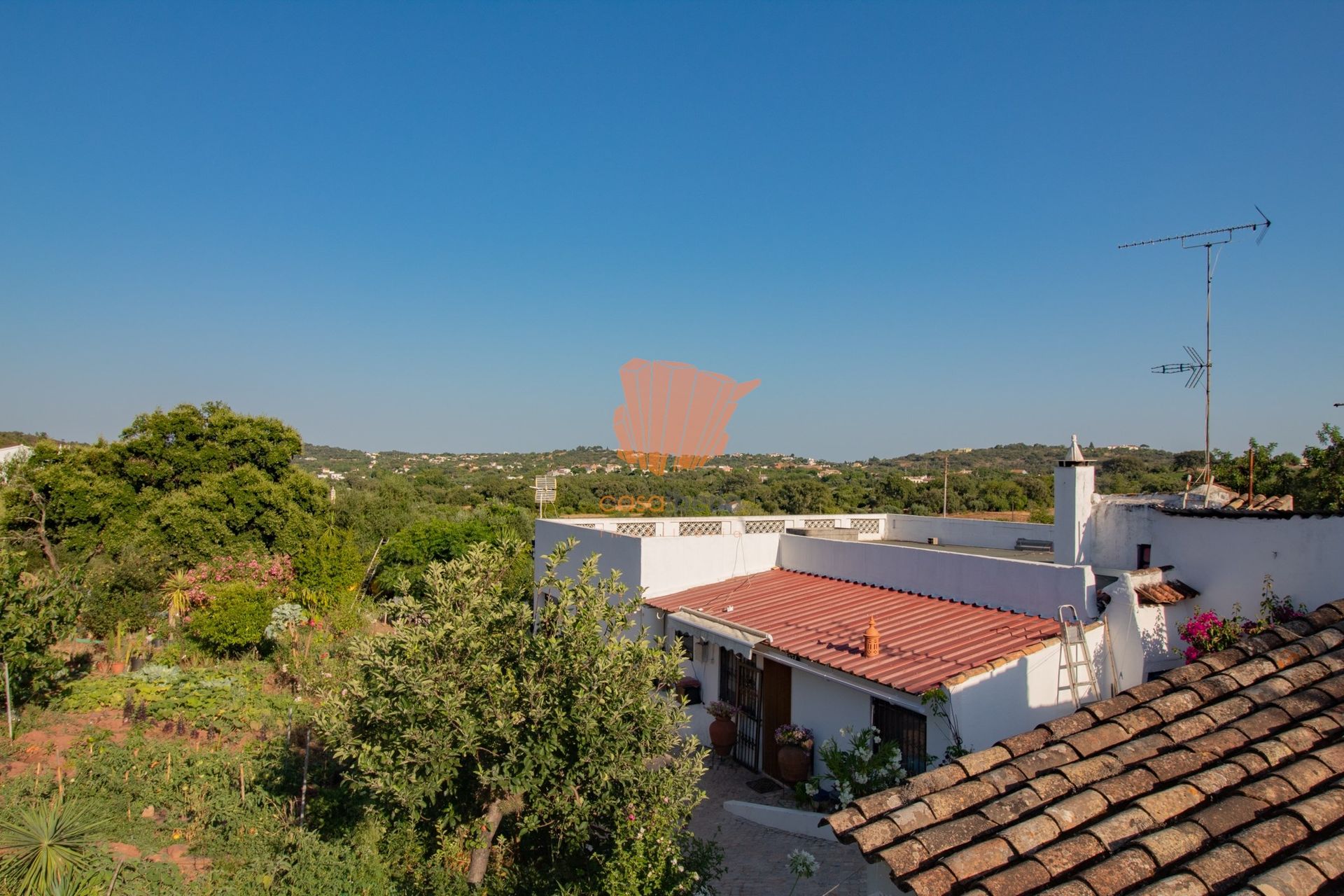 Casa nel Farrobo, Faro 10748154