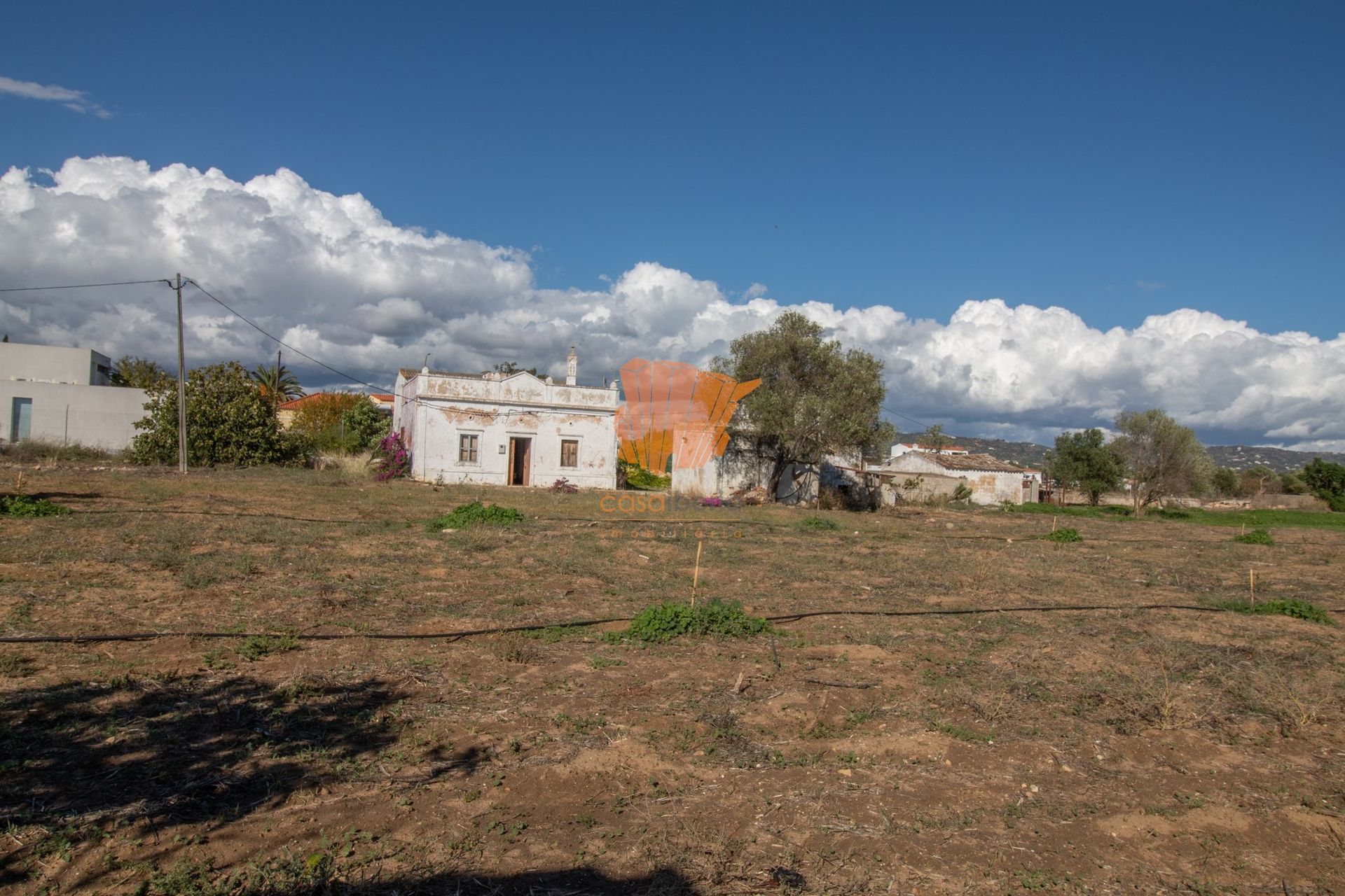 Terra no Conceição, Faro 10748158