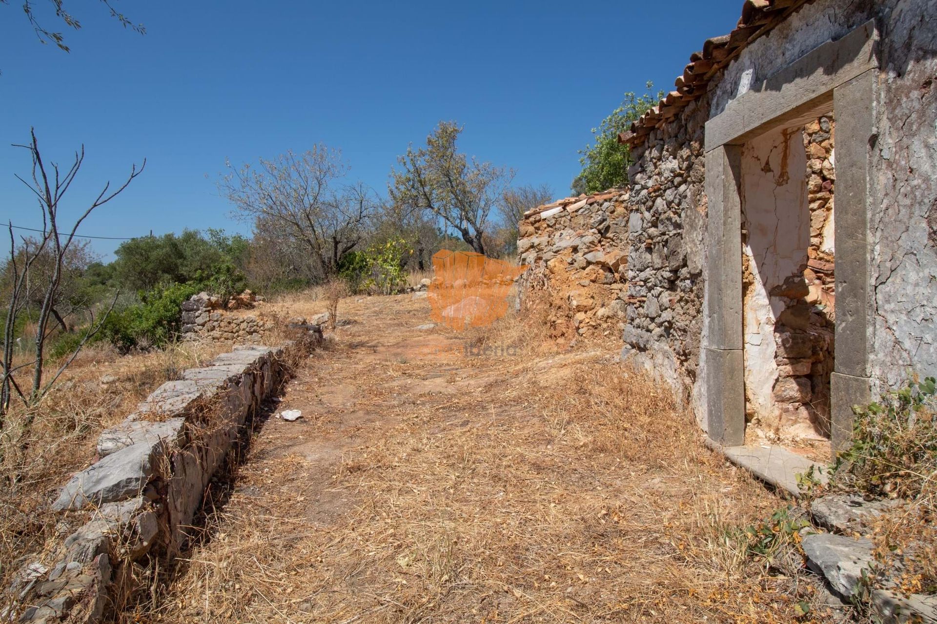 Tierra en Santo Estevão, Faraón 10748218