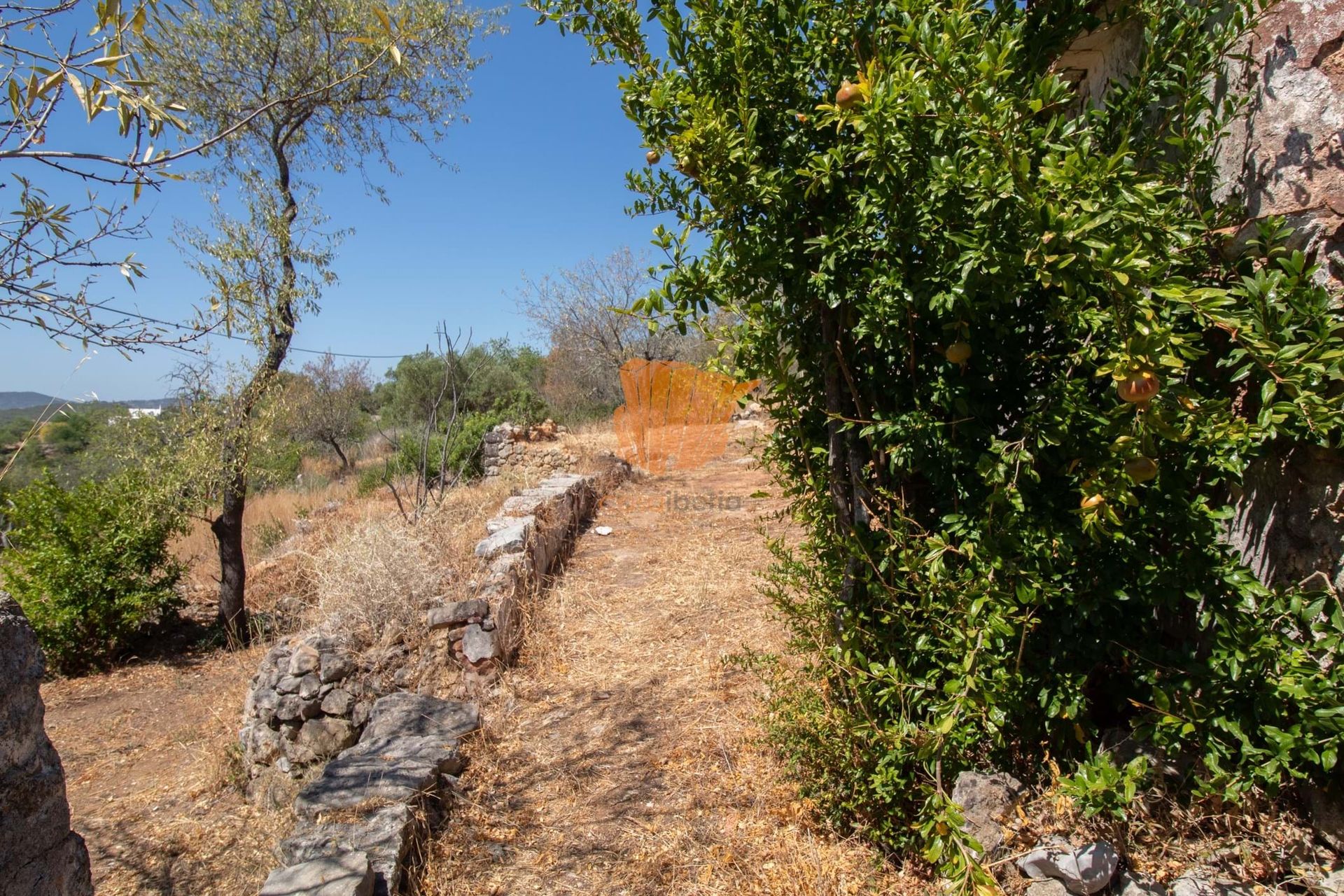 Terra no Santo Estêvão, Faro 10748218