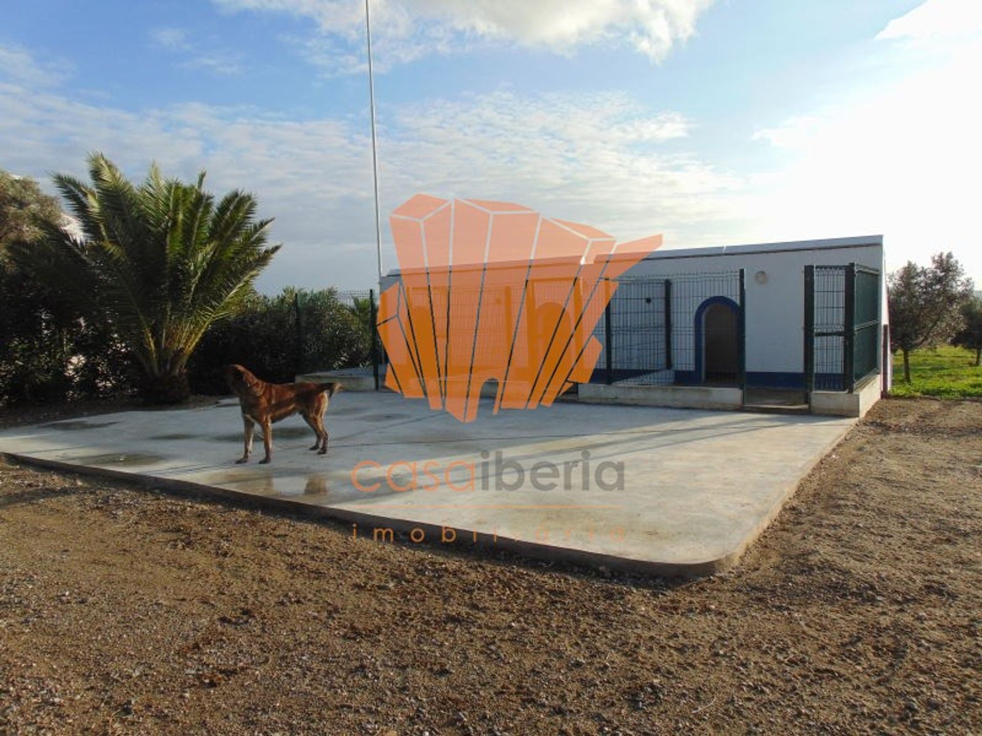 жилой дом в Ferreira do Alentejo, Beja District 10748407