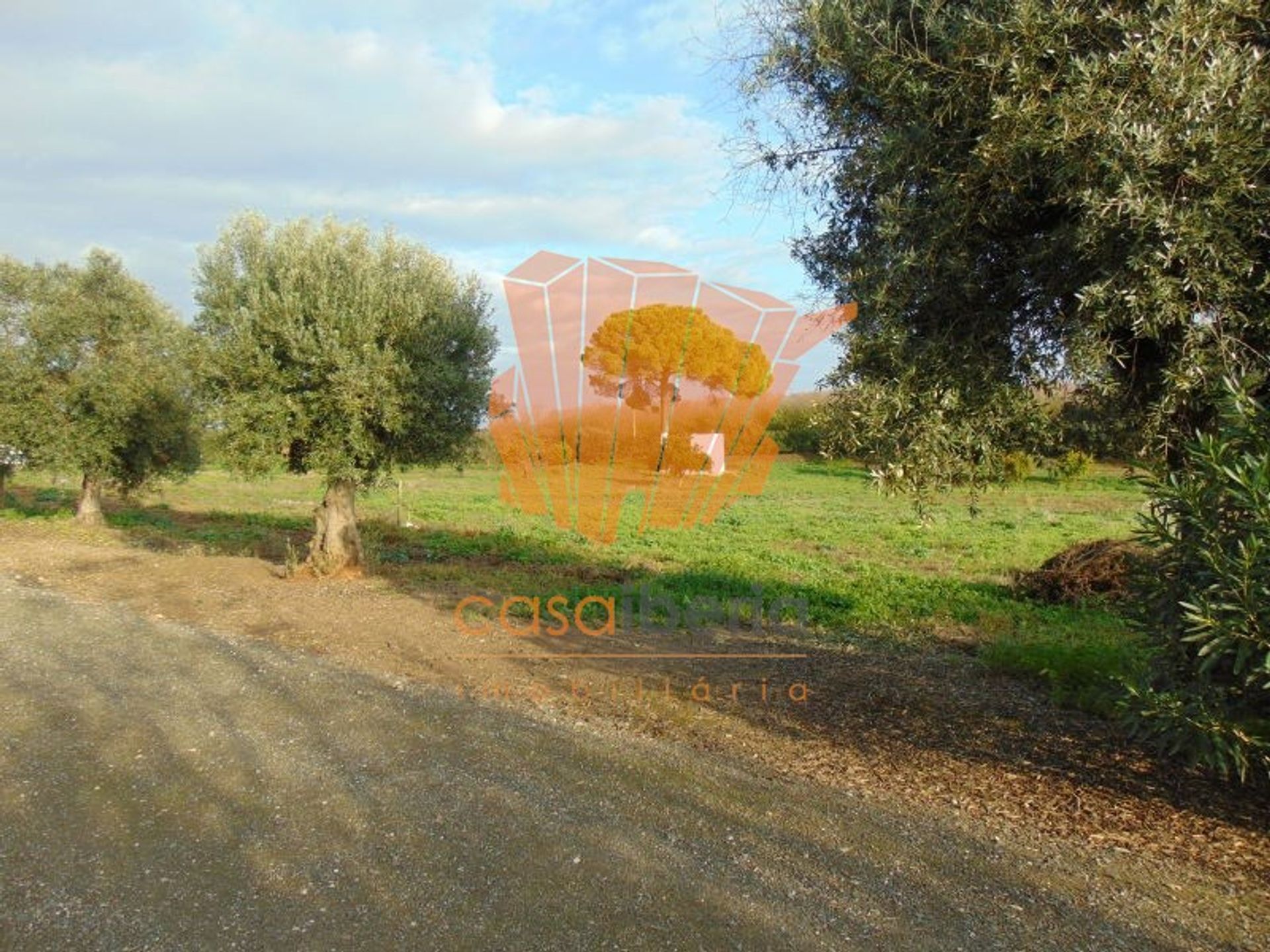 rumah dalam Ferreira do Alentejo, Beja District 10748407