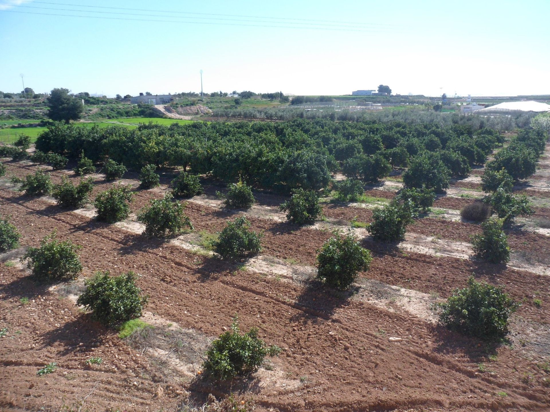 Talo sisään Era-Alta, Murcia 10748449