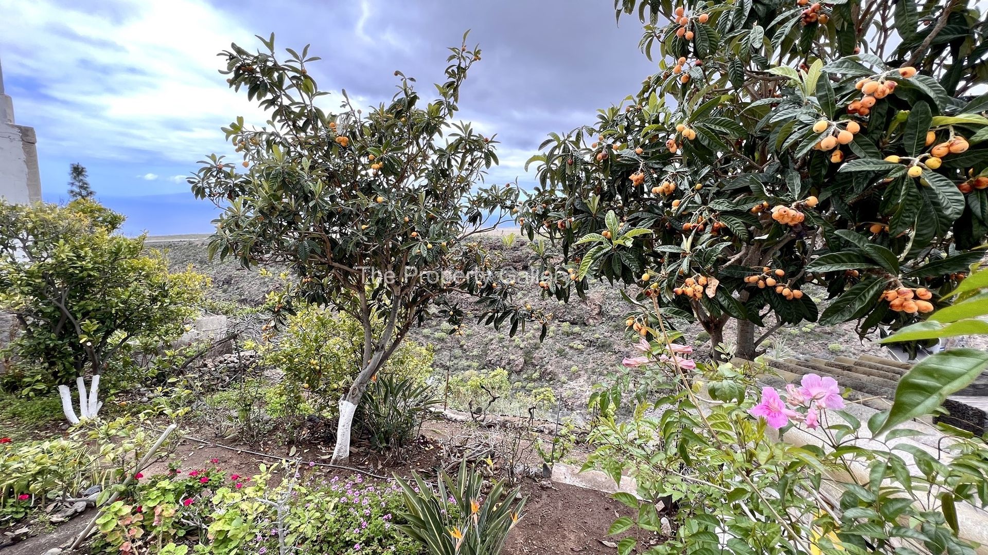 σπίτι σε Guía de Isora, Canary Islands 10748469