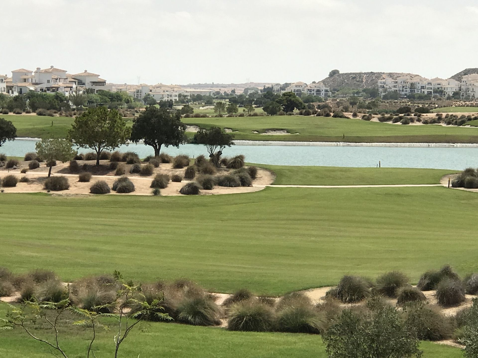 Borettslag i Murcia, Región de Murcia 10748520