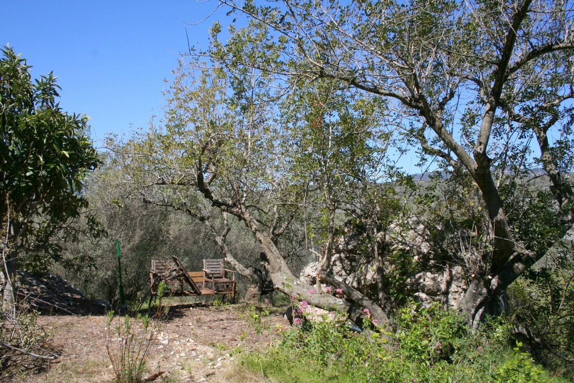 rumah dalam Benirrama, Comunitat Valenciana 10748580