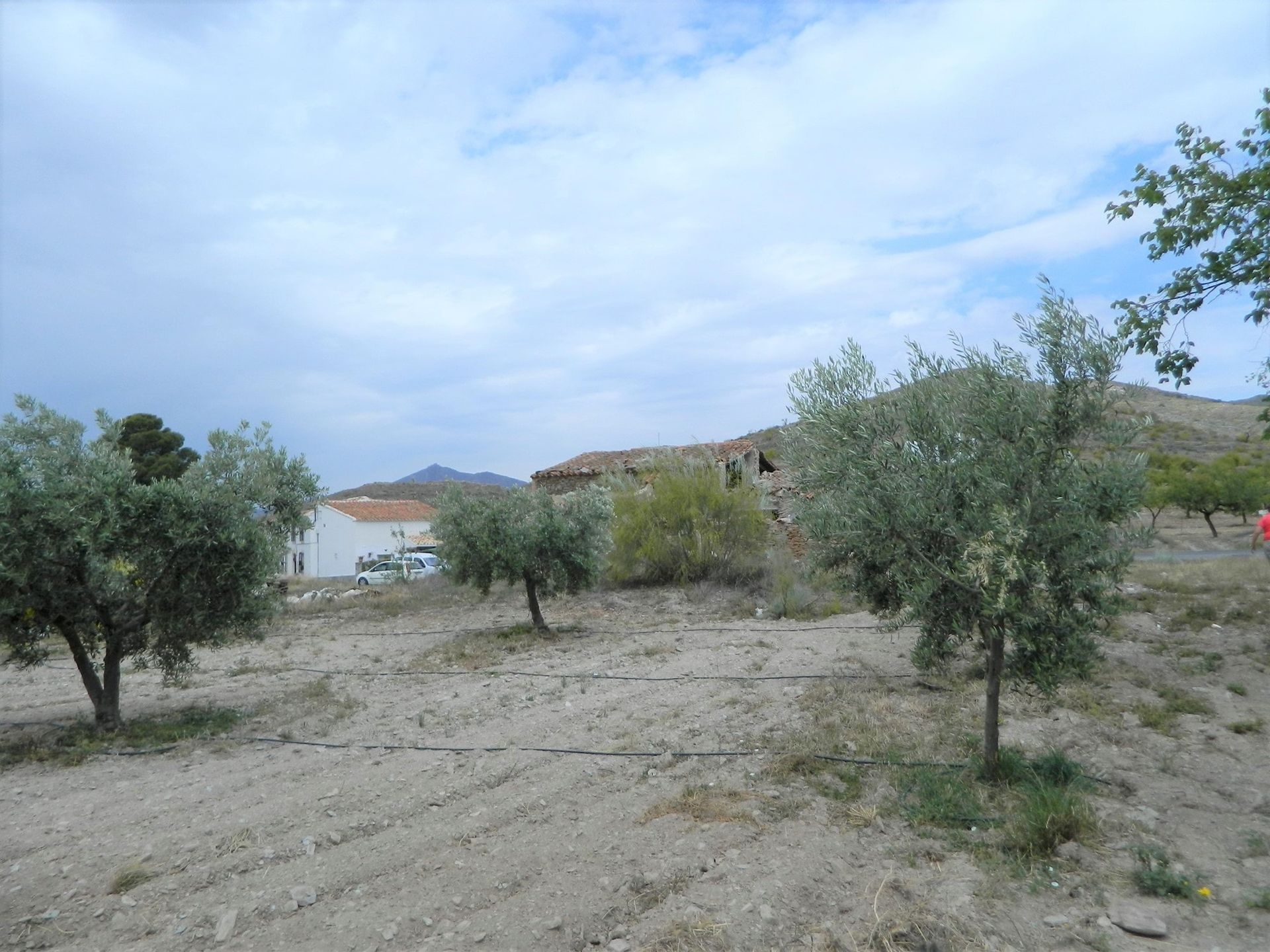 Industrieel in Sorba's, Andalusië 10748724