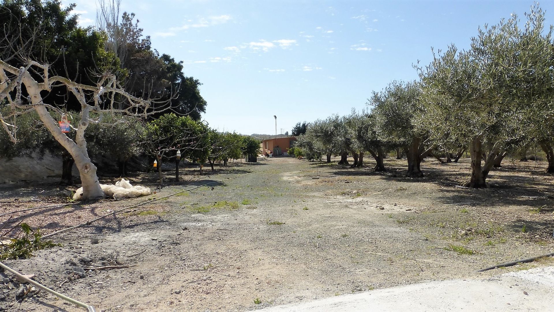 Haus im Lorca, Región de Murcia 10748725