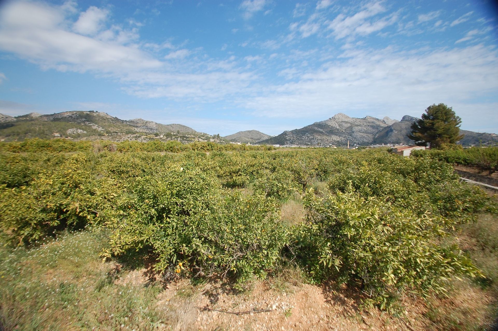 Land in Sagra, Valencia 10748733