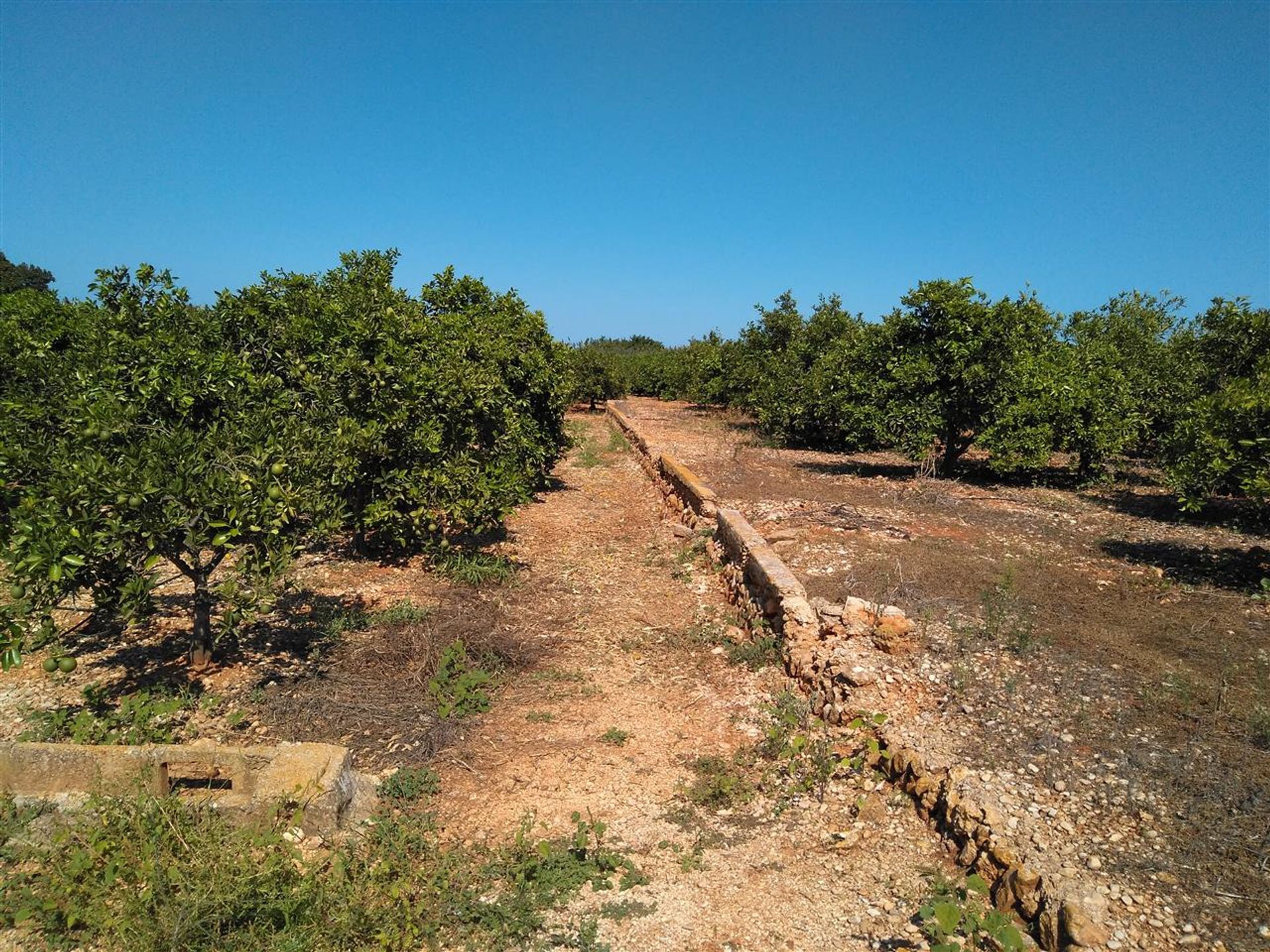 Terra no Ondará, Valência 10748770