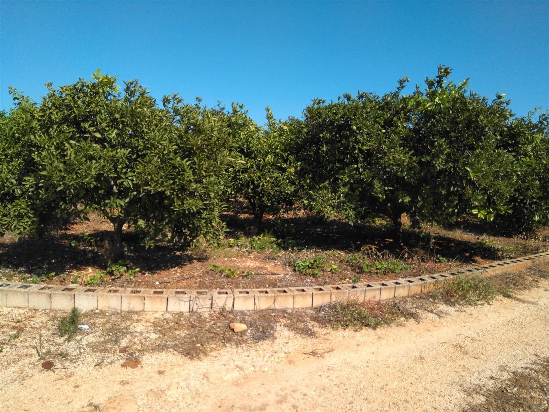 Terra no Ondará, Valência 10748770