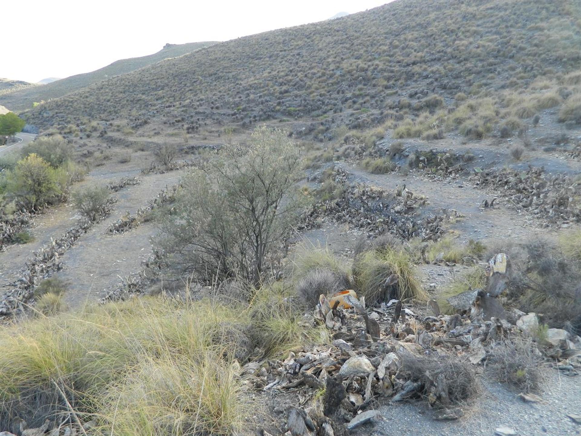 집 에 Tabernas, Andalucía 10748791