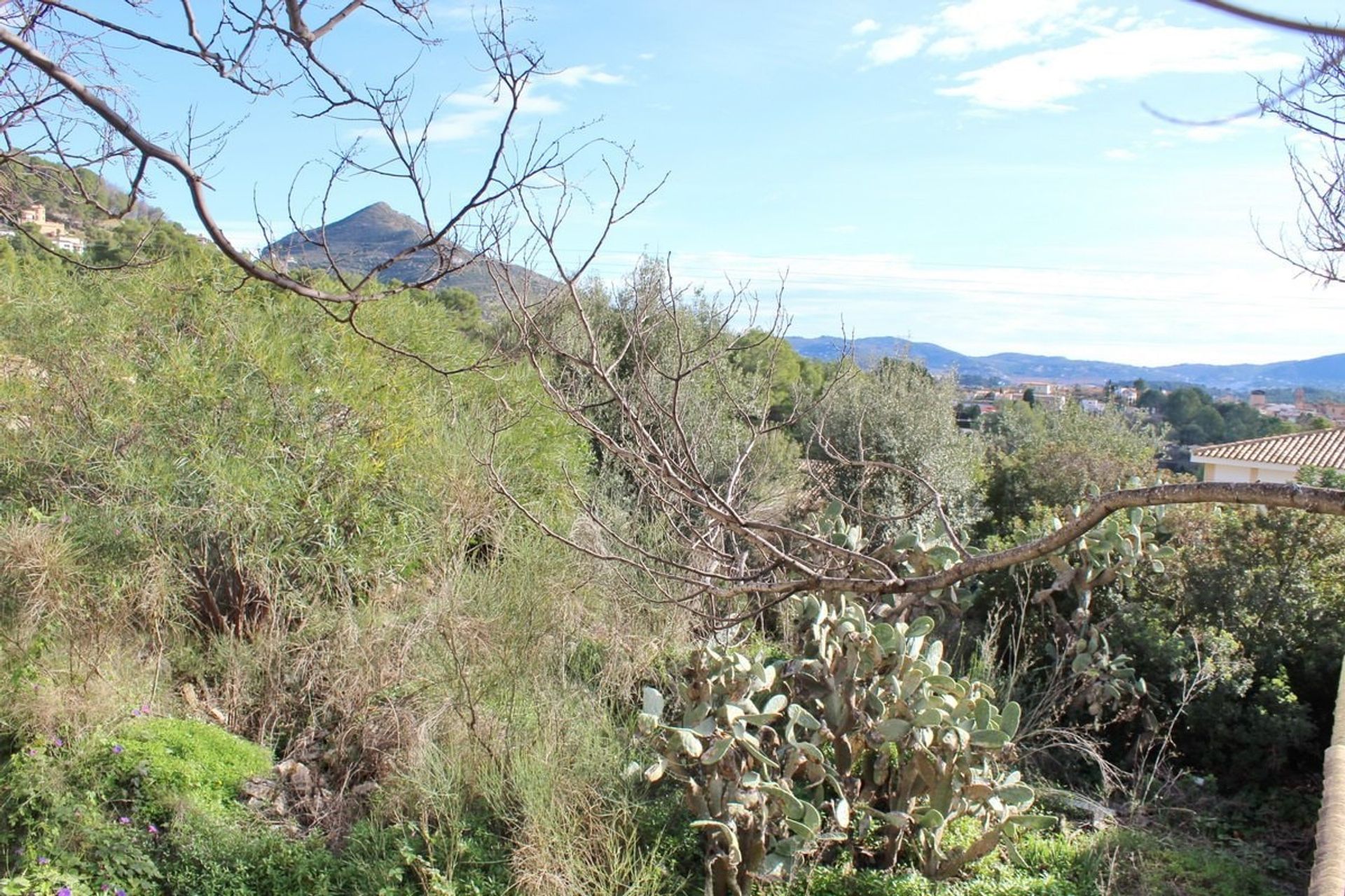 土地 在 Alcalalí, Comunidad Valenciana 10748822