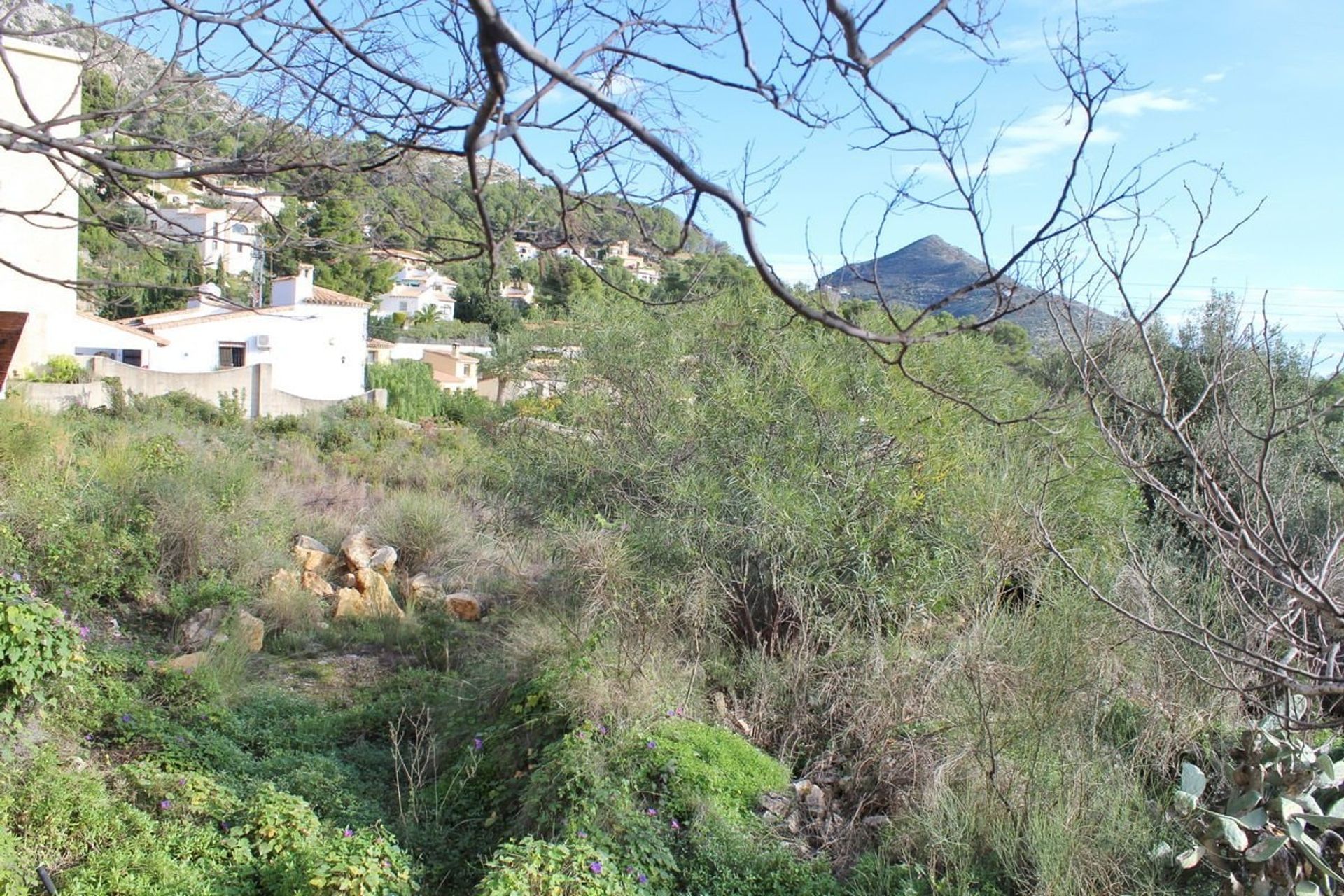 Terra no Alcalalí, Comunidad Valenciana 10748822