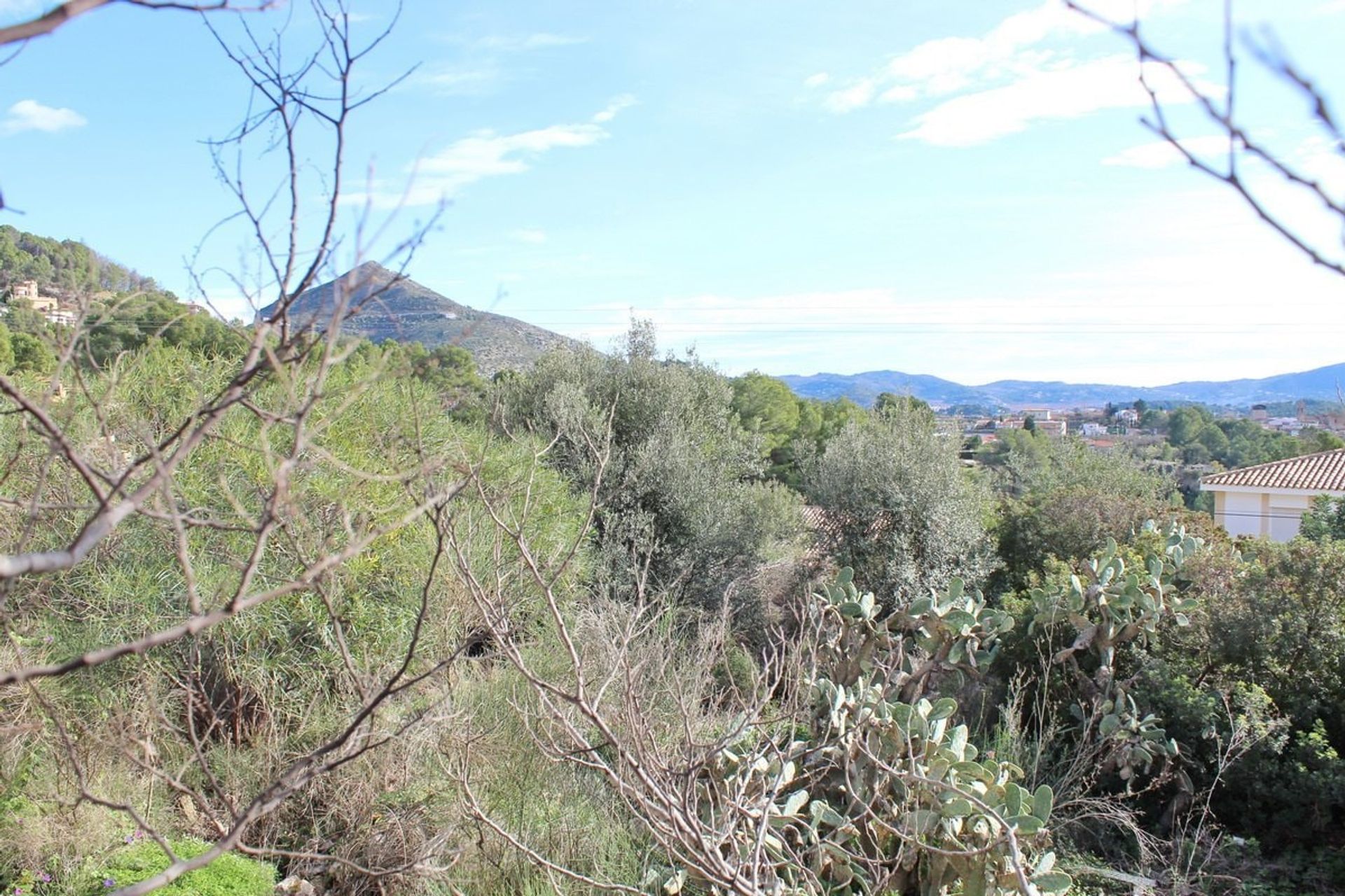 土地 在 Alcalalí, Comunidad Valenciana 10748822