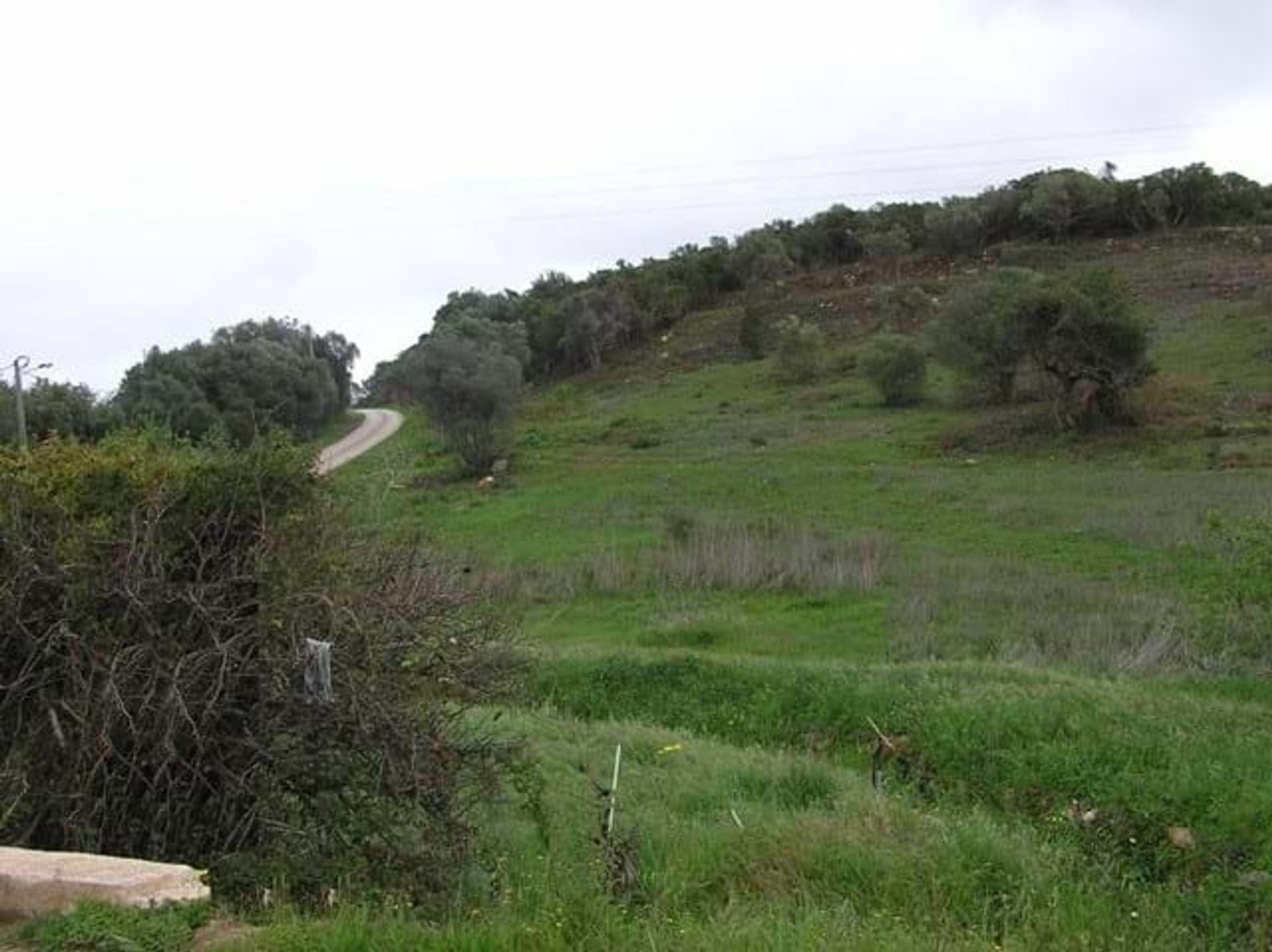 Terra no Barão de São João, Faro 10748847