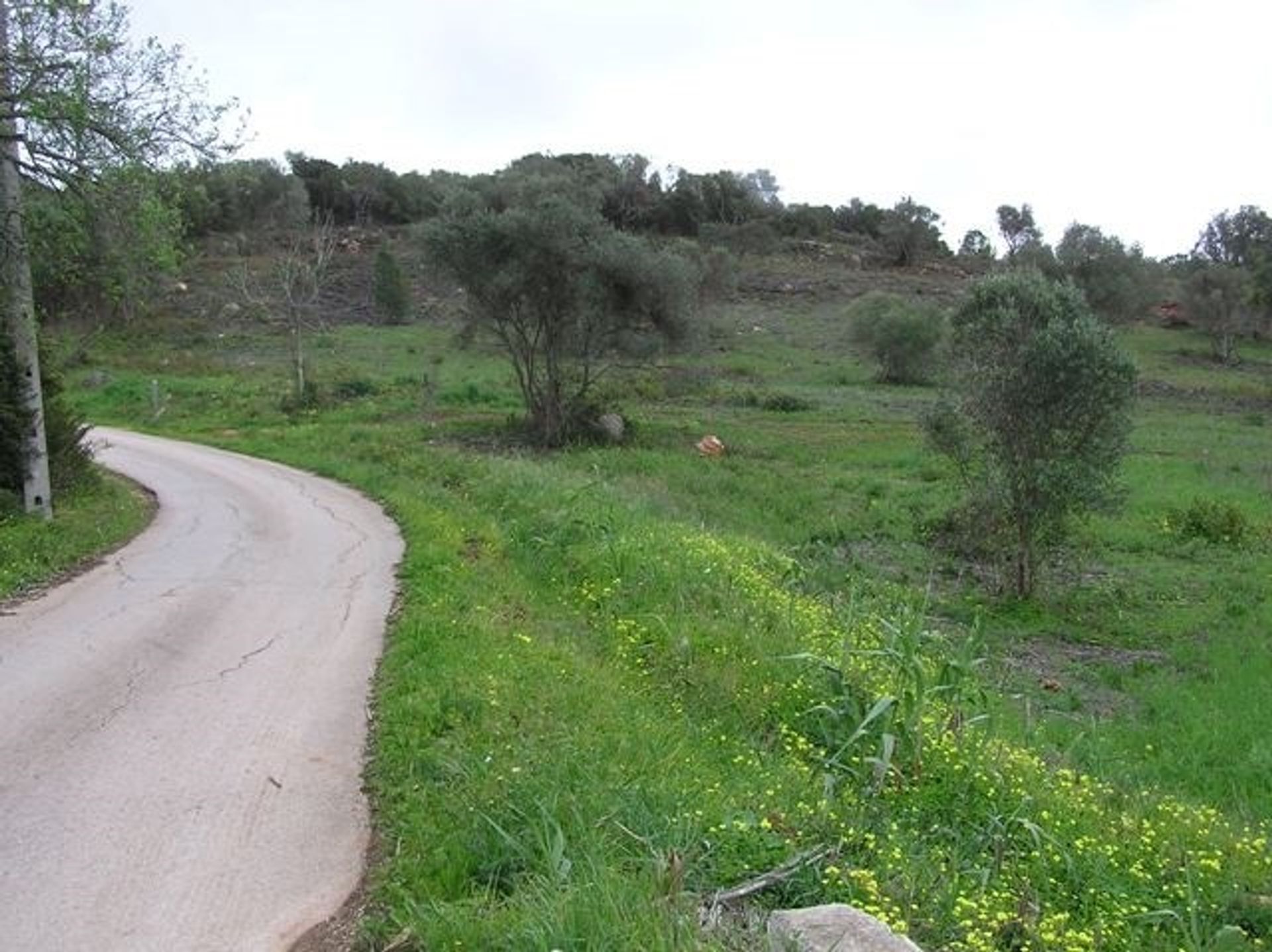 Γη σε , Faro District 10748847