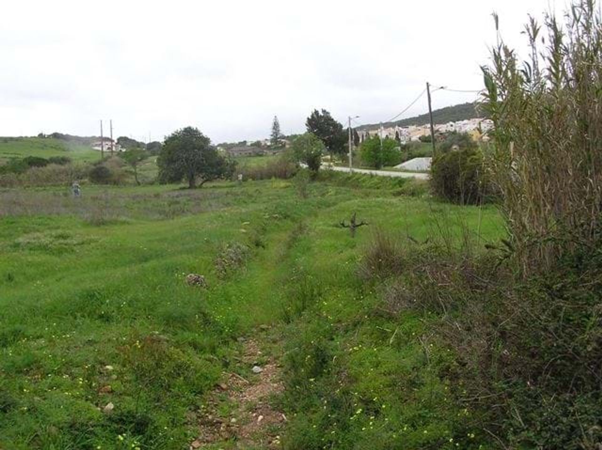 Γη σε , Faro District 10748847