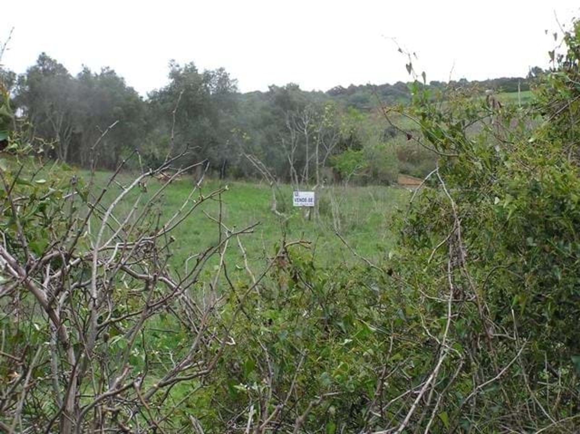 Γη σε , Faro District 10748847