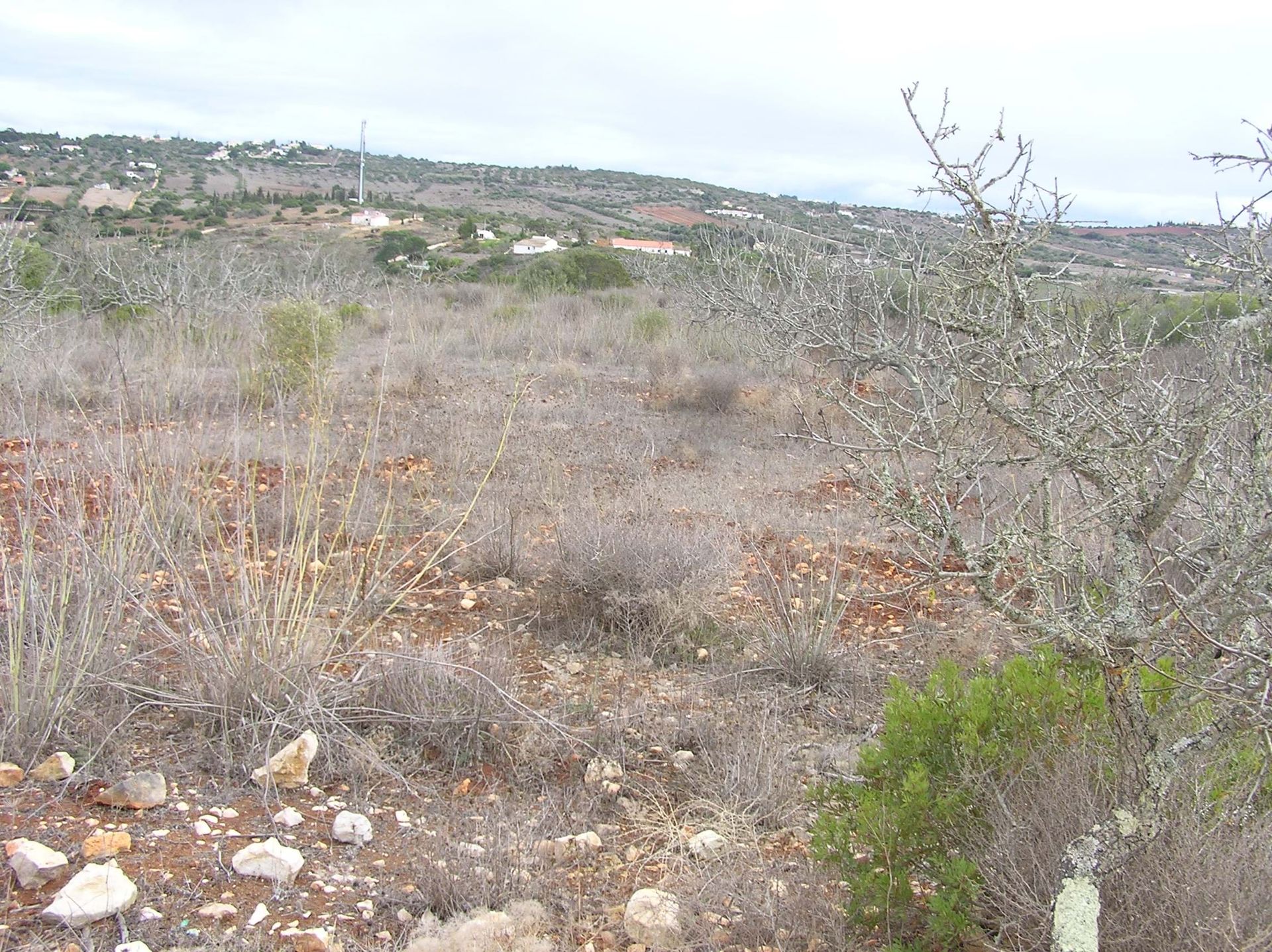 Land in , Faro District 10748848