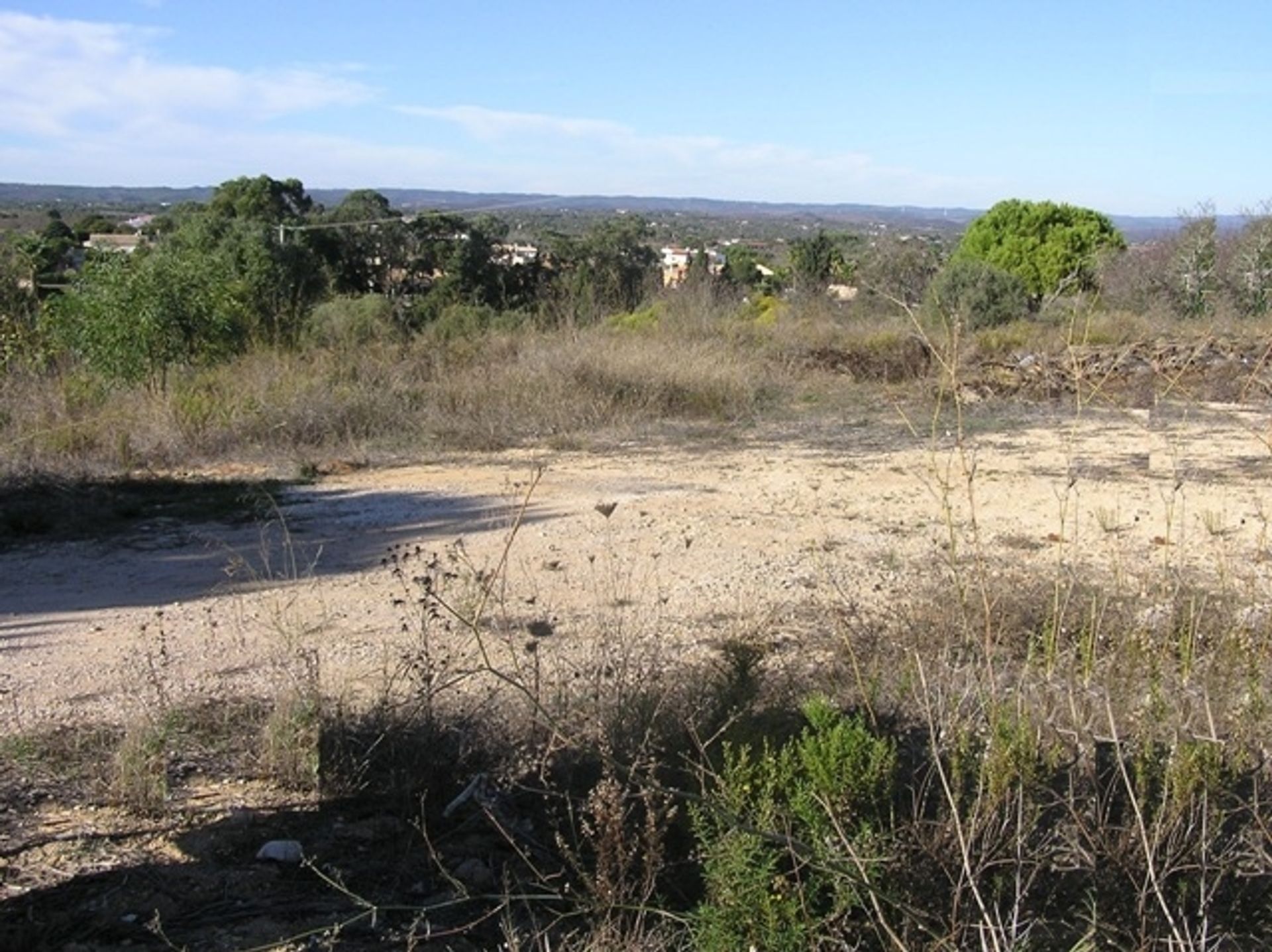 Terra no Lagos, Faro 10748849