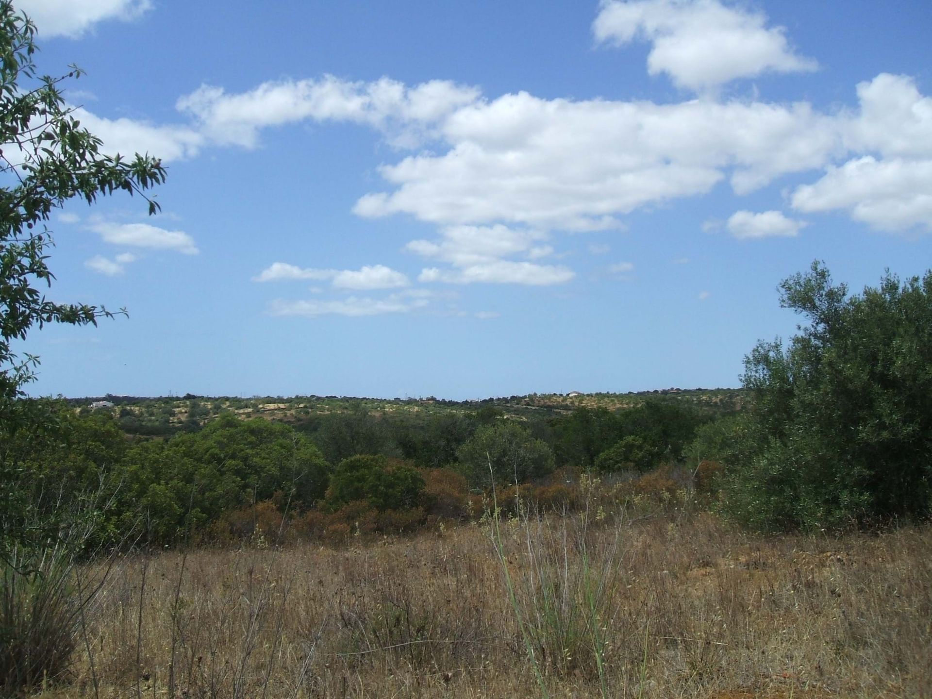 Terra no Lagos, Faro 10748871