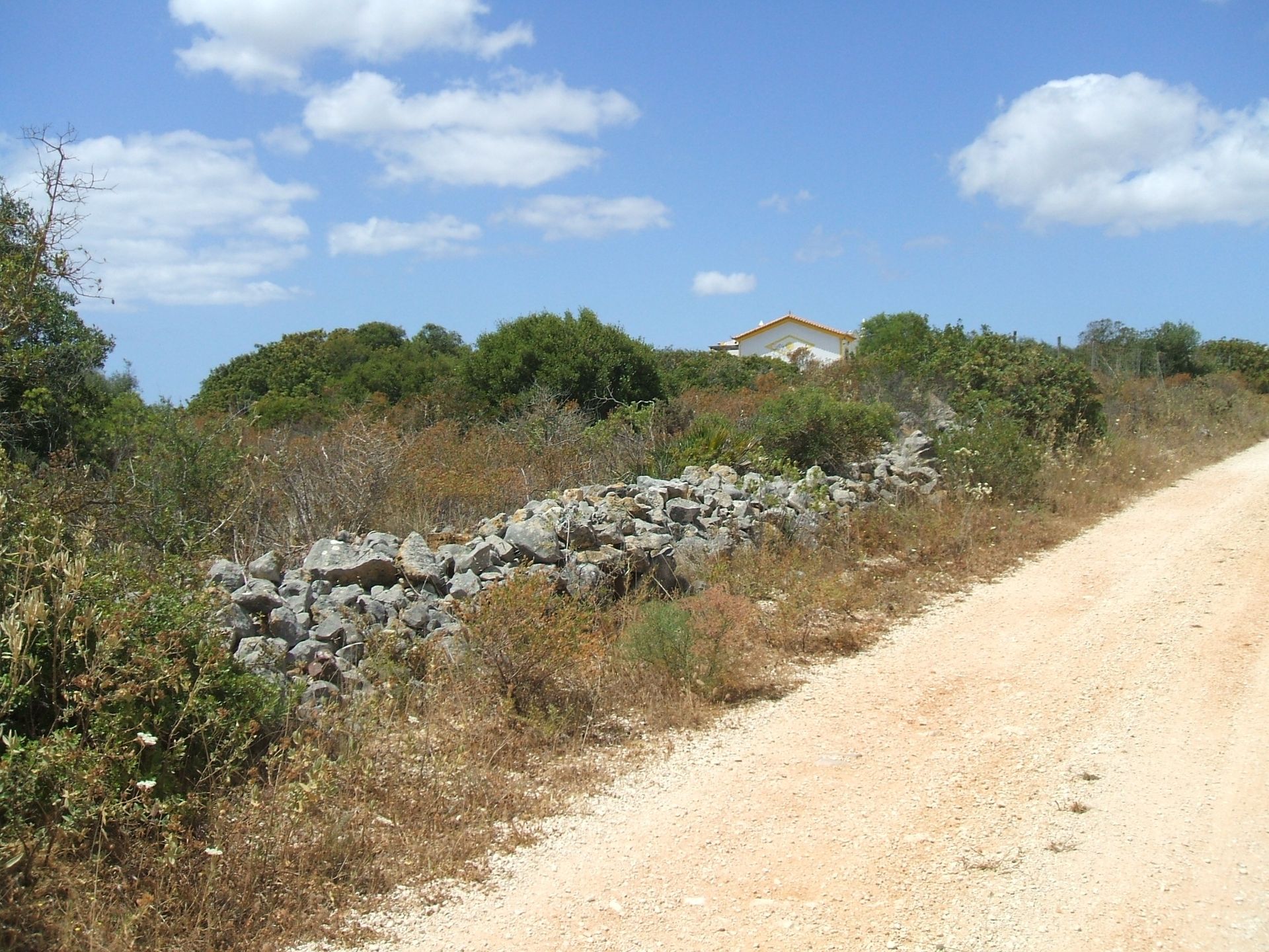 Terra no Lagos, Faro 10748871