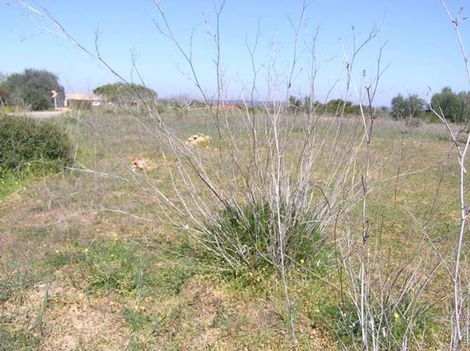 Land im Lagos, Faro District 10748873