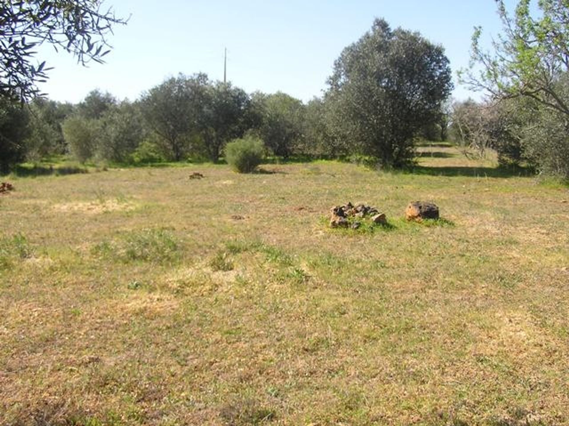 Land i Lagos, Faro 10748873