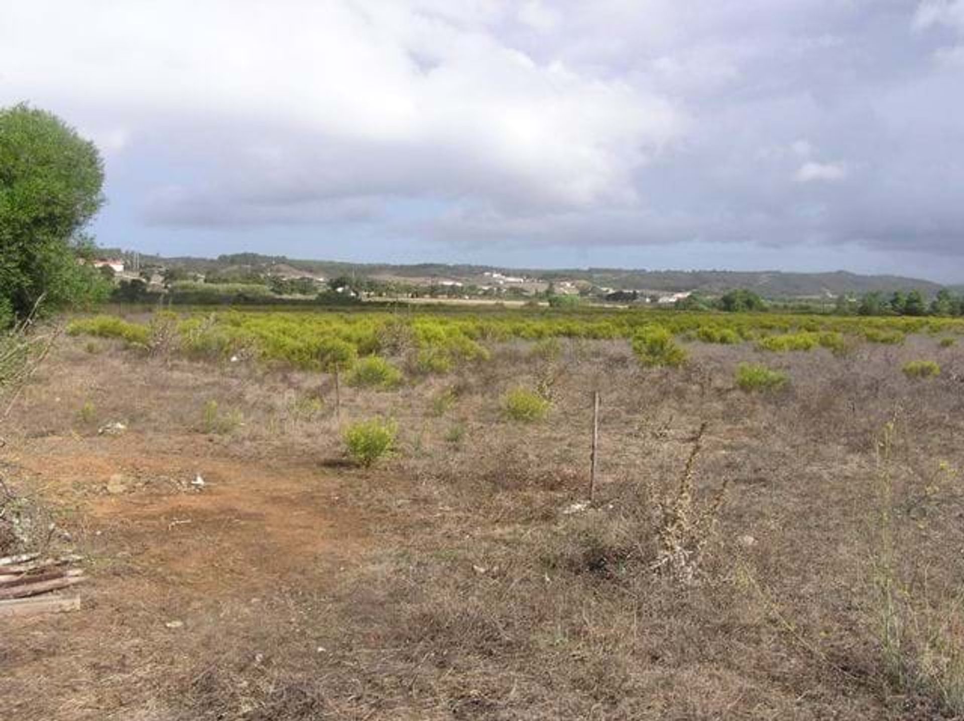 Land im Carrapateira, Faro 10748874