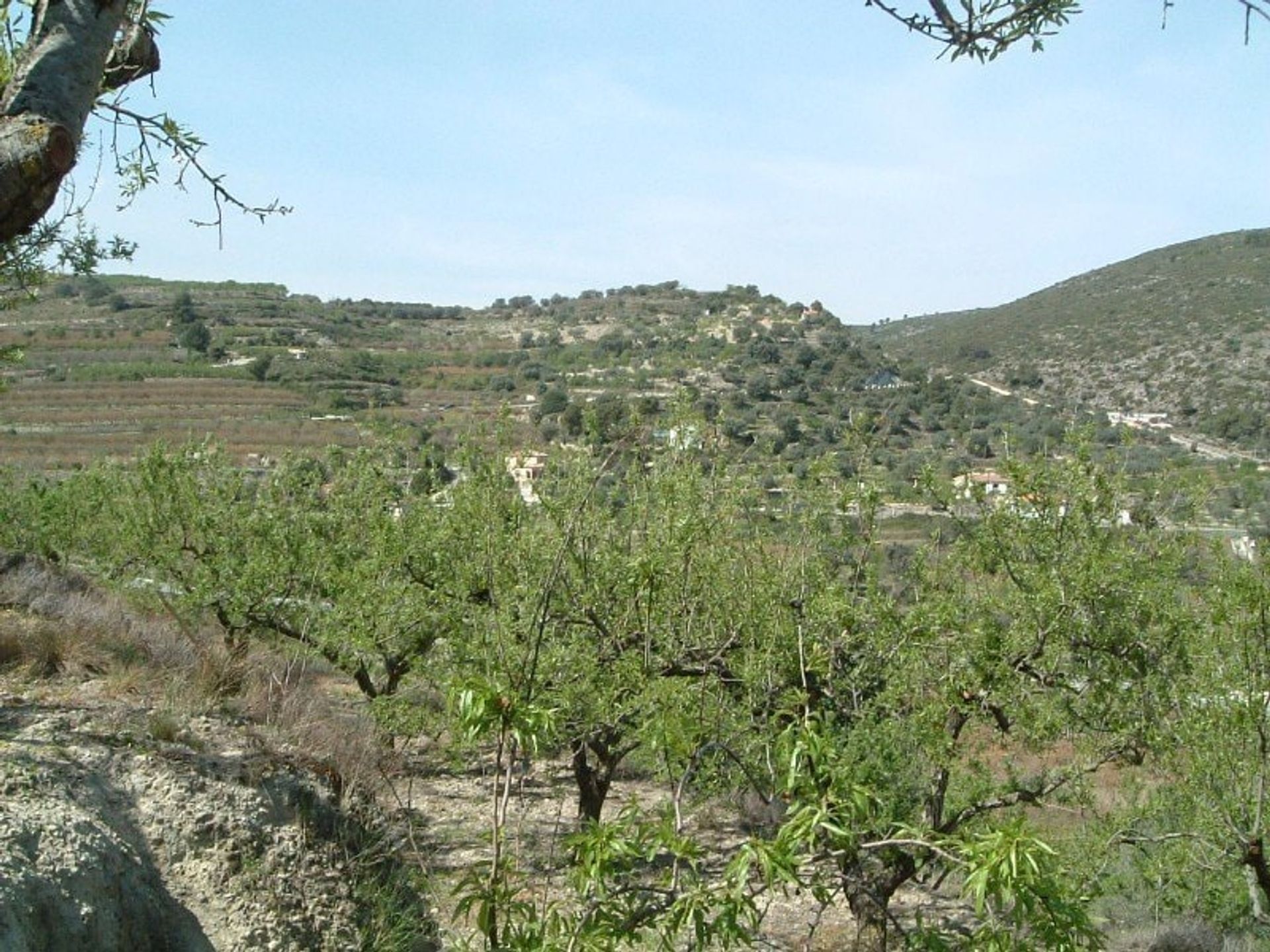 Maa sisään Llosa de Camacho, Comunitat Valenciana 10748896