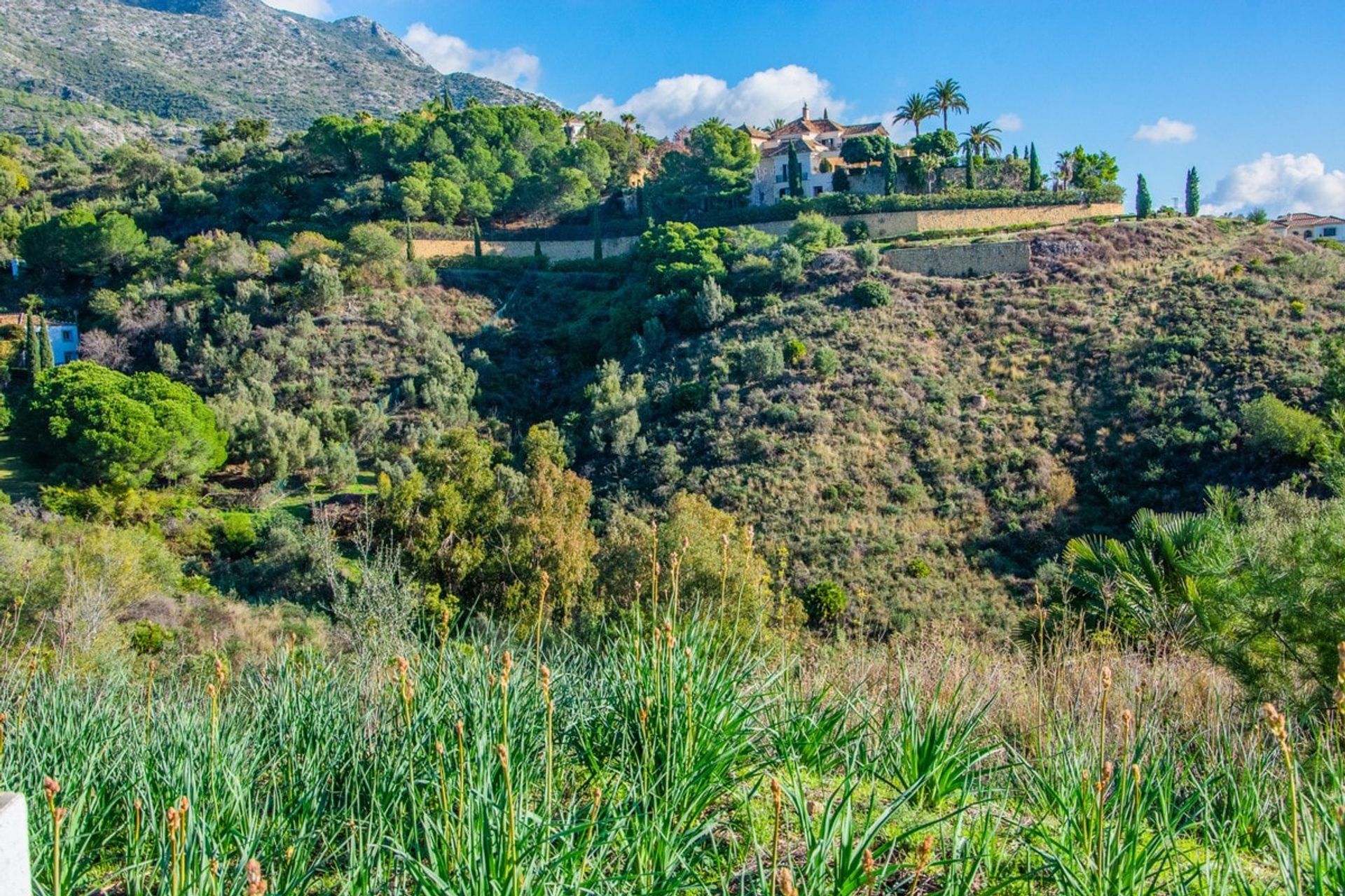 Land in Marbella, Andalucía 10749562