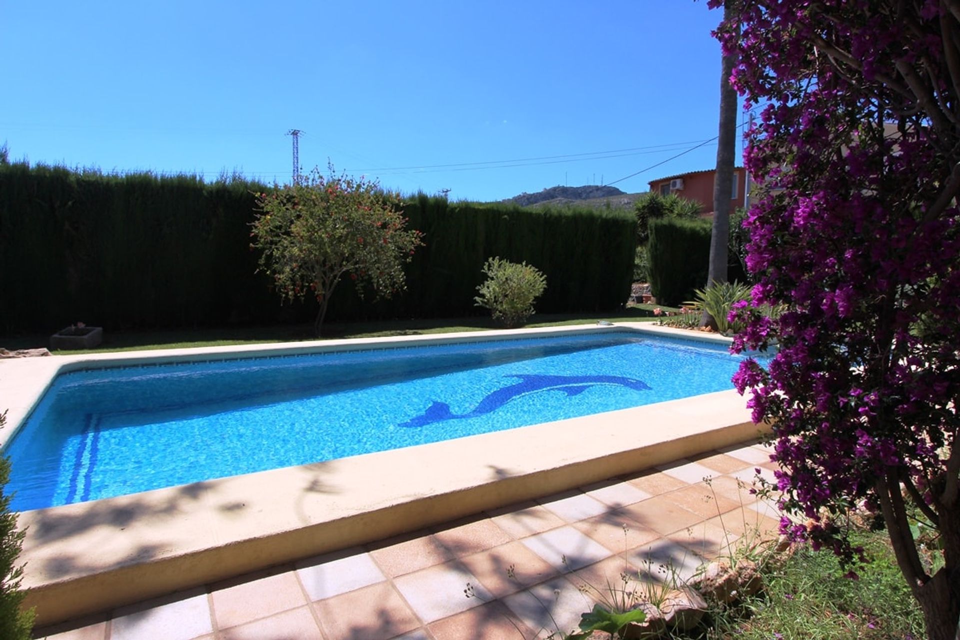 House in Pedreguer, Comunidad Valenciana 10749614