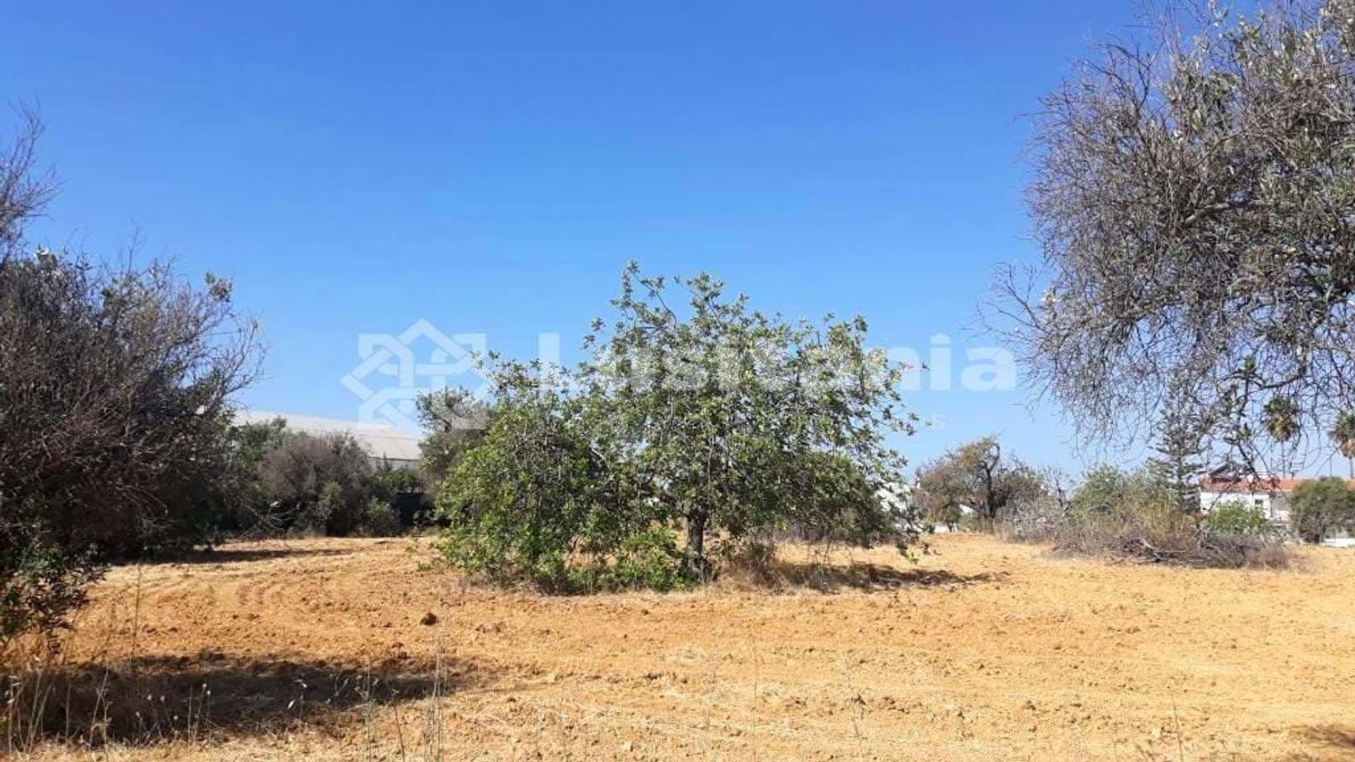 Land in Cavacos, Faro 10749845