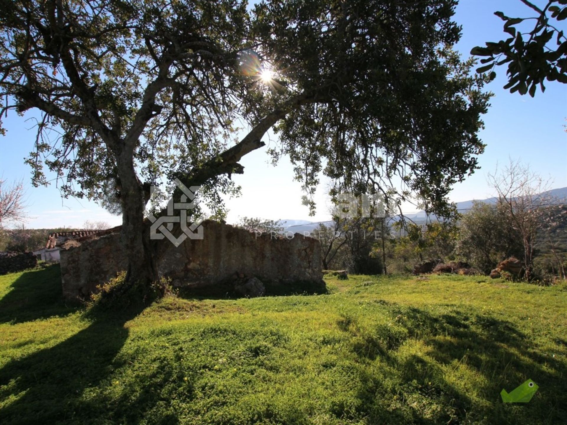 Land in Cerro da Mesquita, Faro 10749853