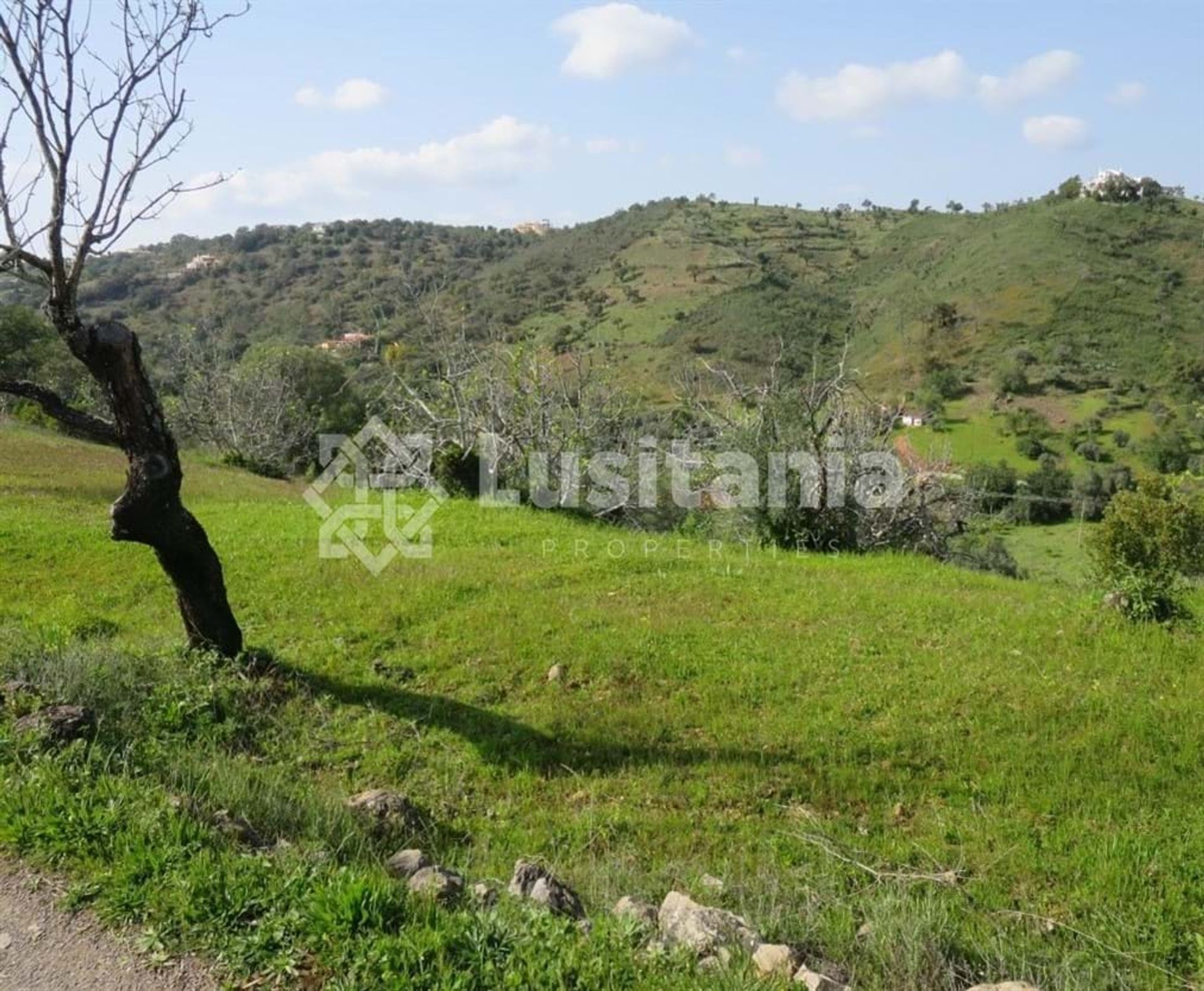 Land in Cerro da Mesquita, Faro 10749853