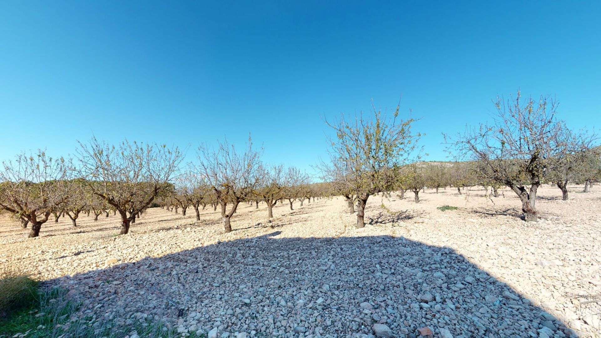 Hus i Villena, Comunidad Valenciana 10749986