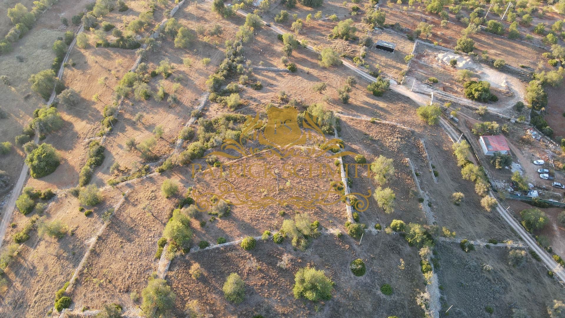 Land in Poco da Figueira, Faro 10750080