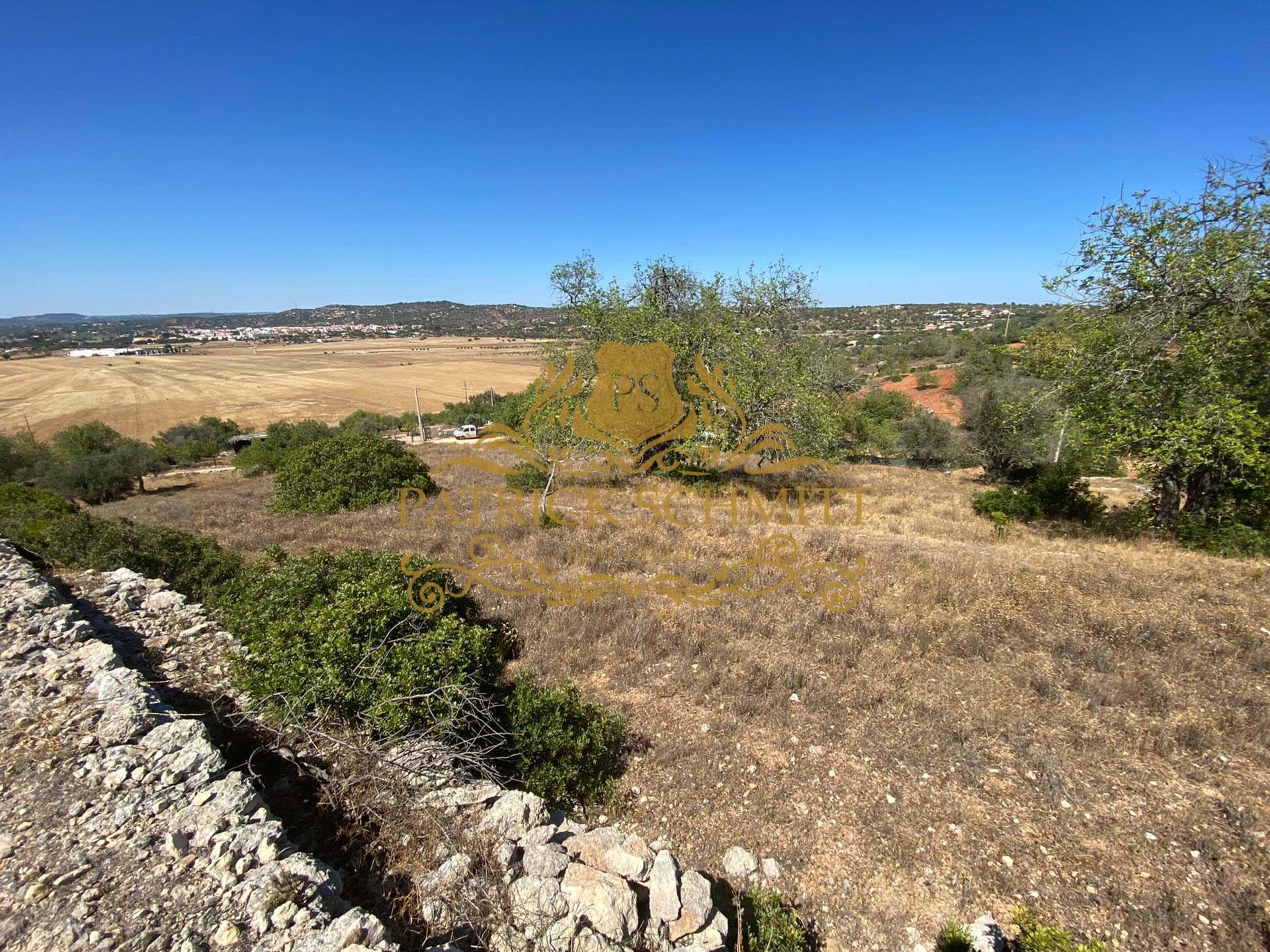 Land in , Faro 10750080