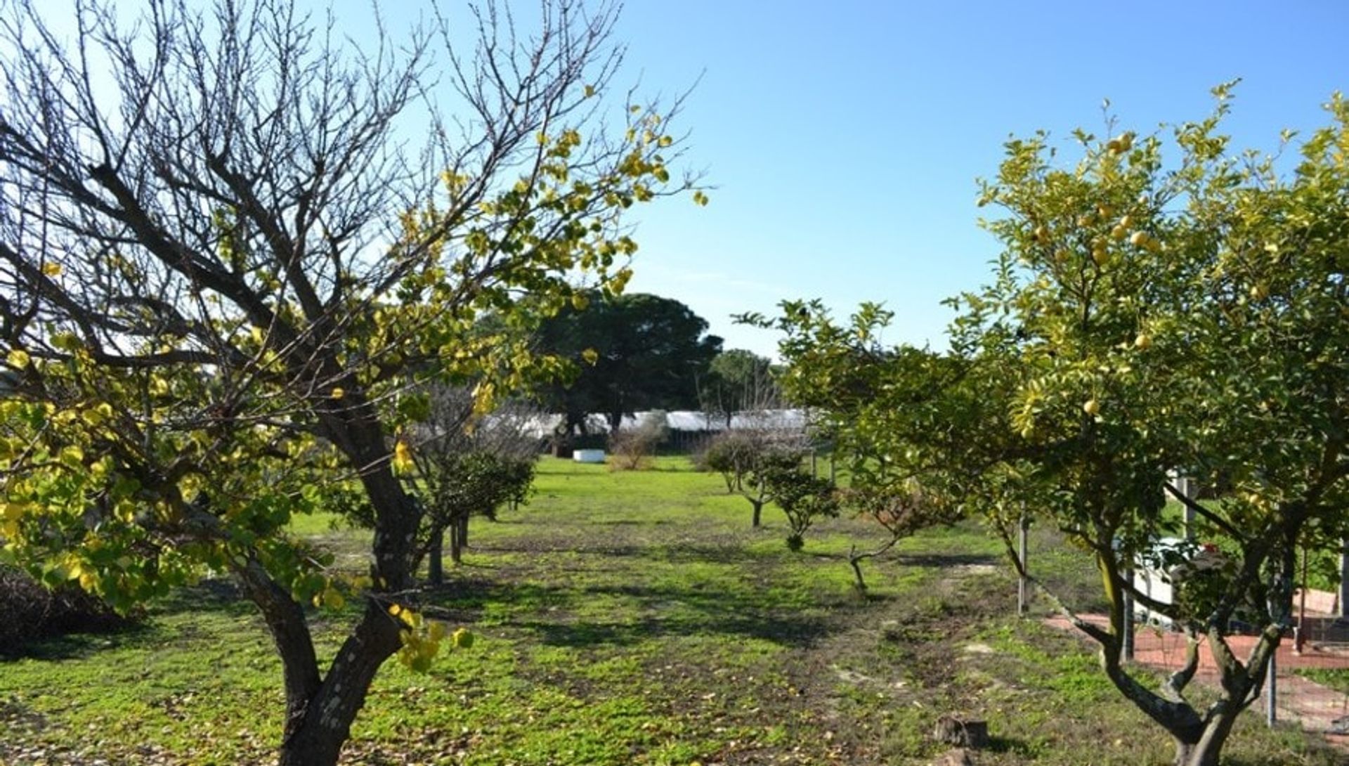 Rumah di Bonares, Andalucía 10750145