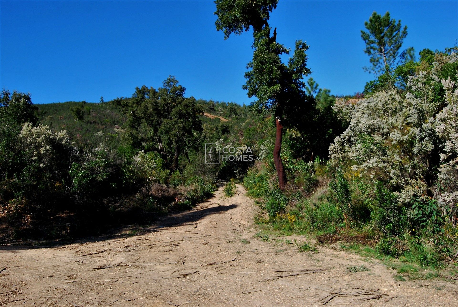 Land in Selão Branco, Faro 10750157